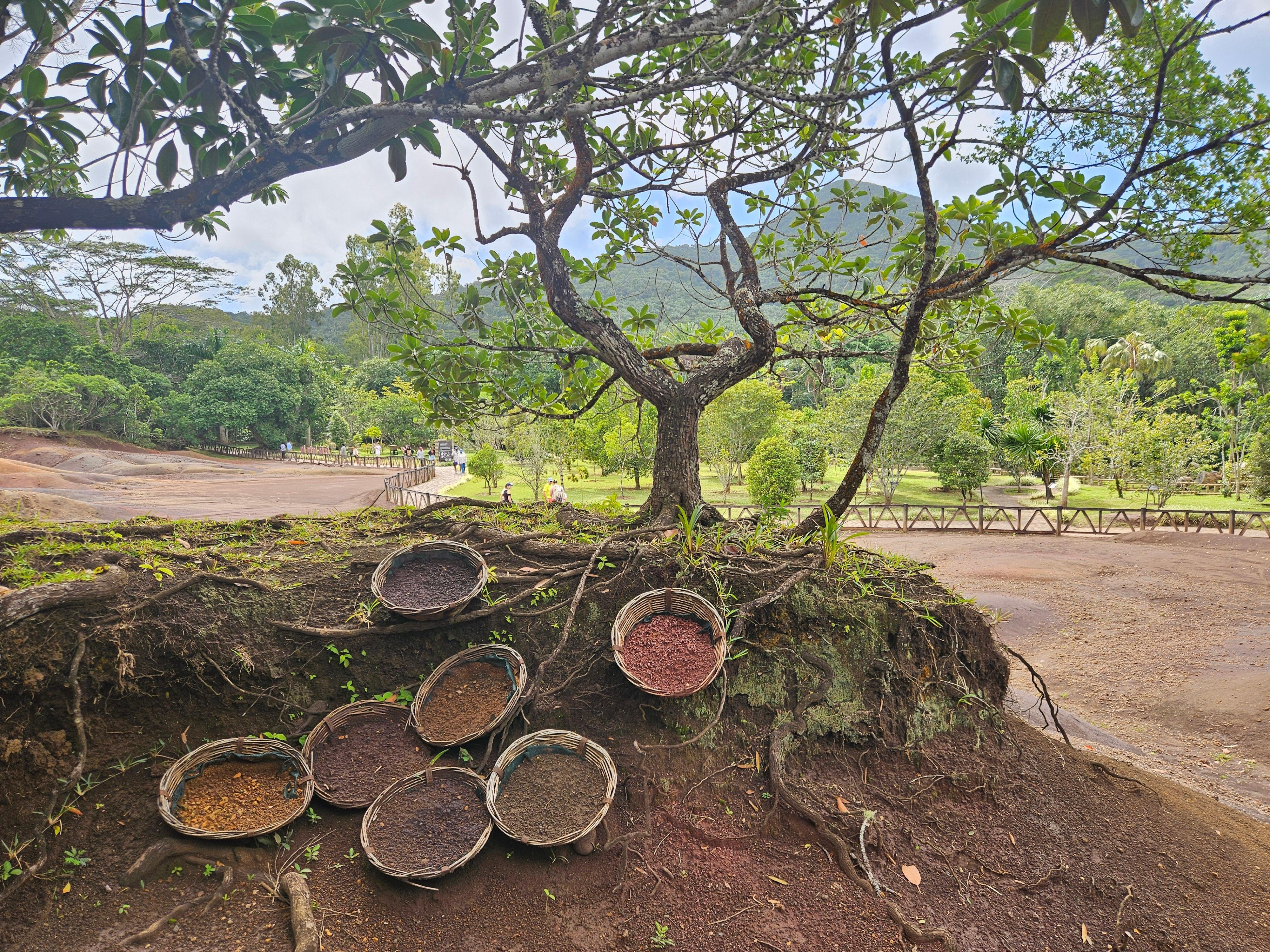 Private Southwest Mauritius: Chamarel & Nature Highlights