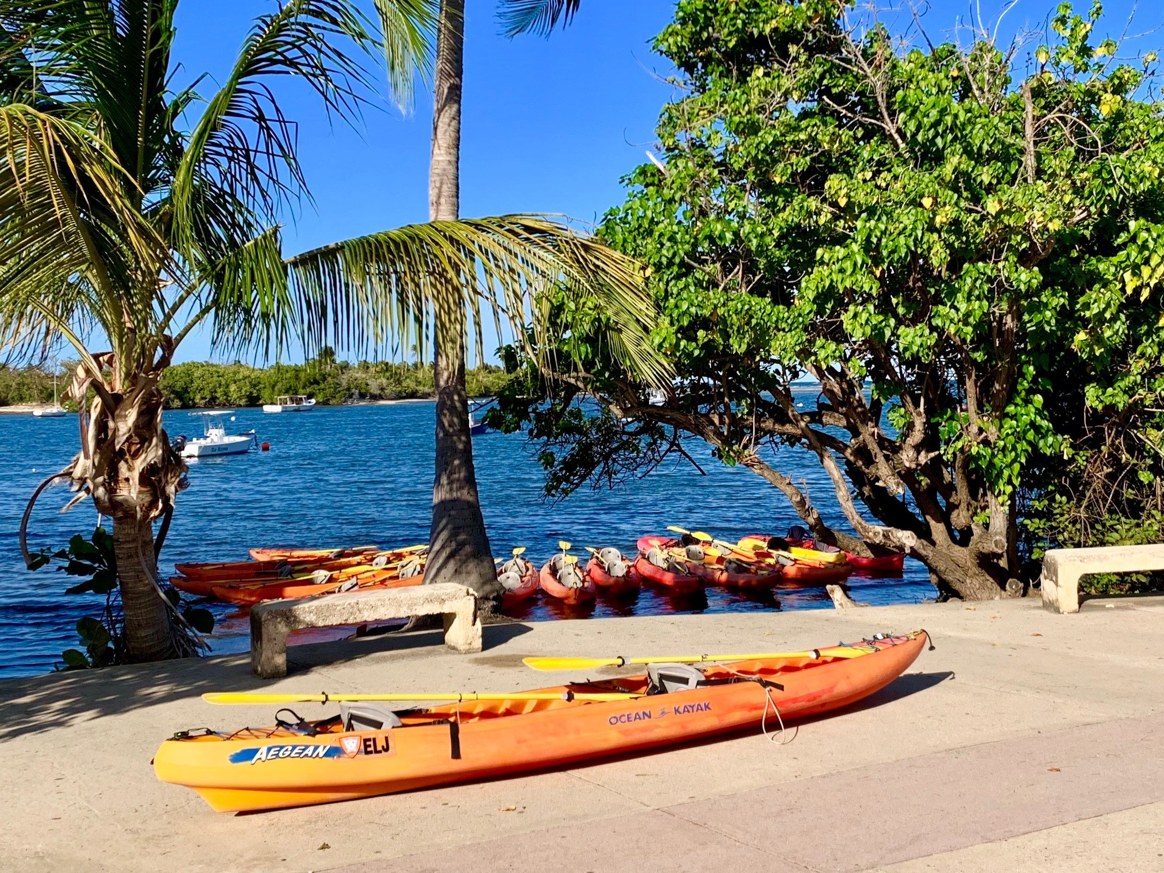 Fajardo: Guided Bioluminescent Lagoon Kayaking Adventure