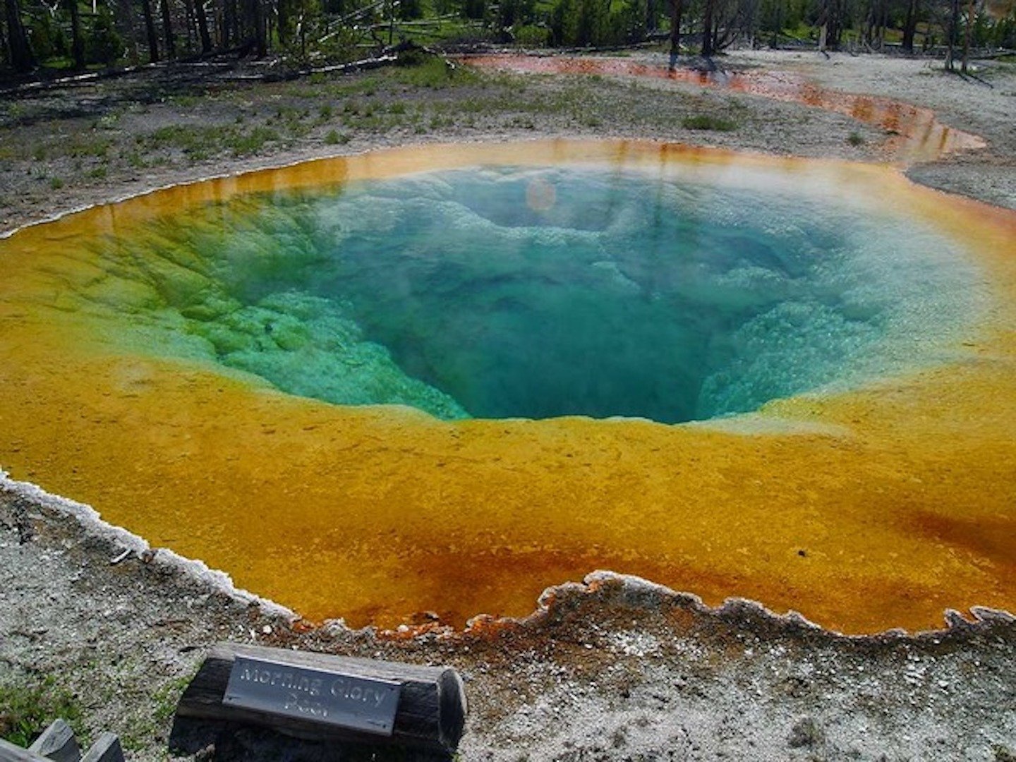 Full-Day Yellowstone Lower Loop Tour from West Yellowstone