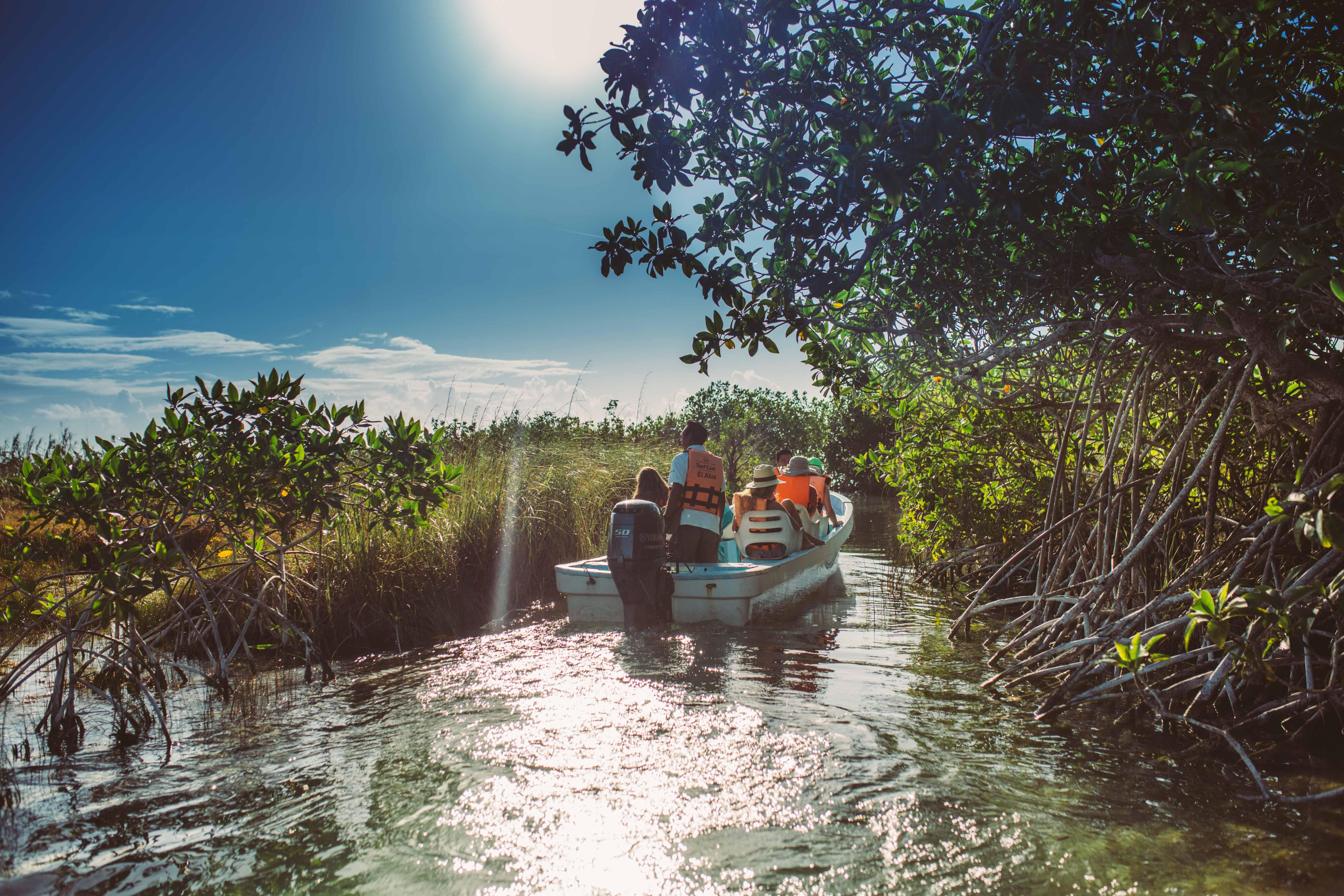 Muyil Ruins & Sian Ka'an Lazy River Half-Day Tour from Tulum