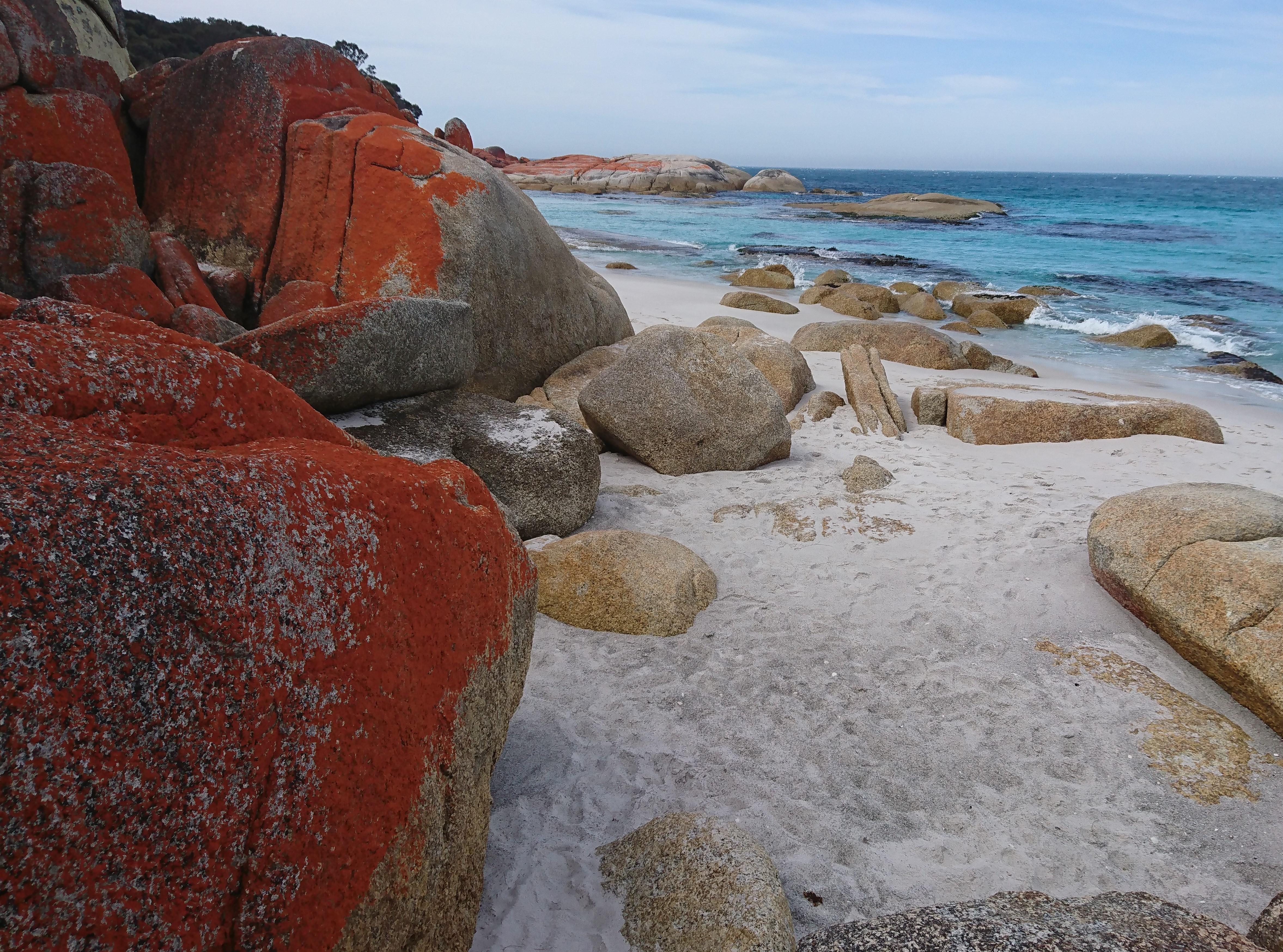 Bay of Fires Day Tour from Launceston with Lavender Farm