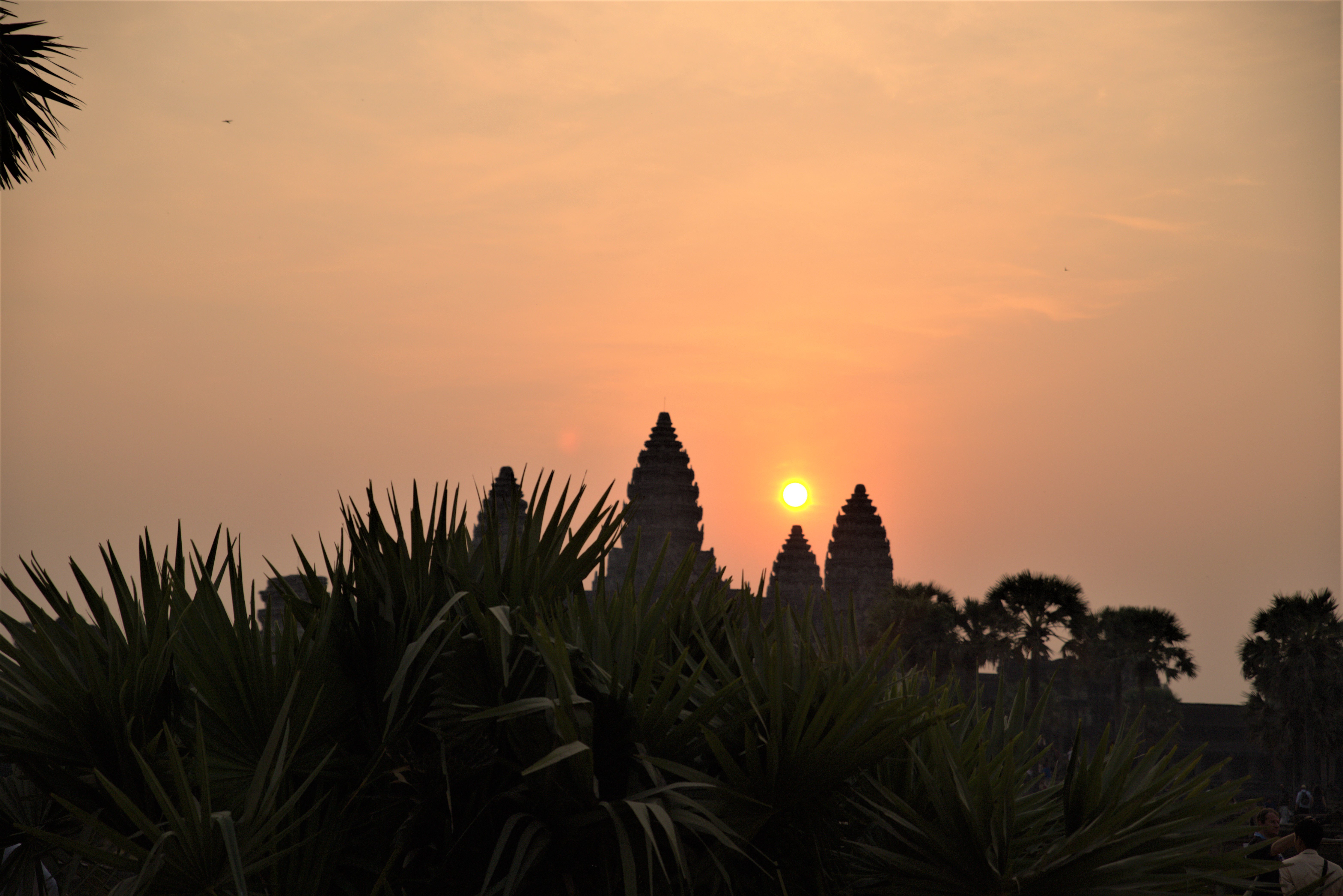 Angkor Wat Private Sunrise Tour with Champagne Breakfast