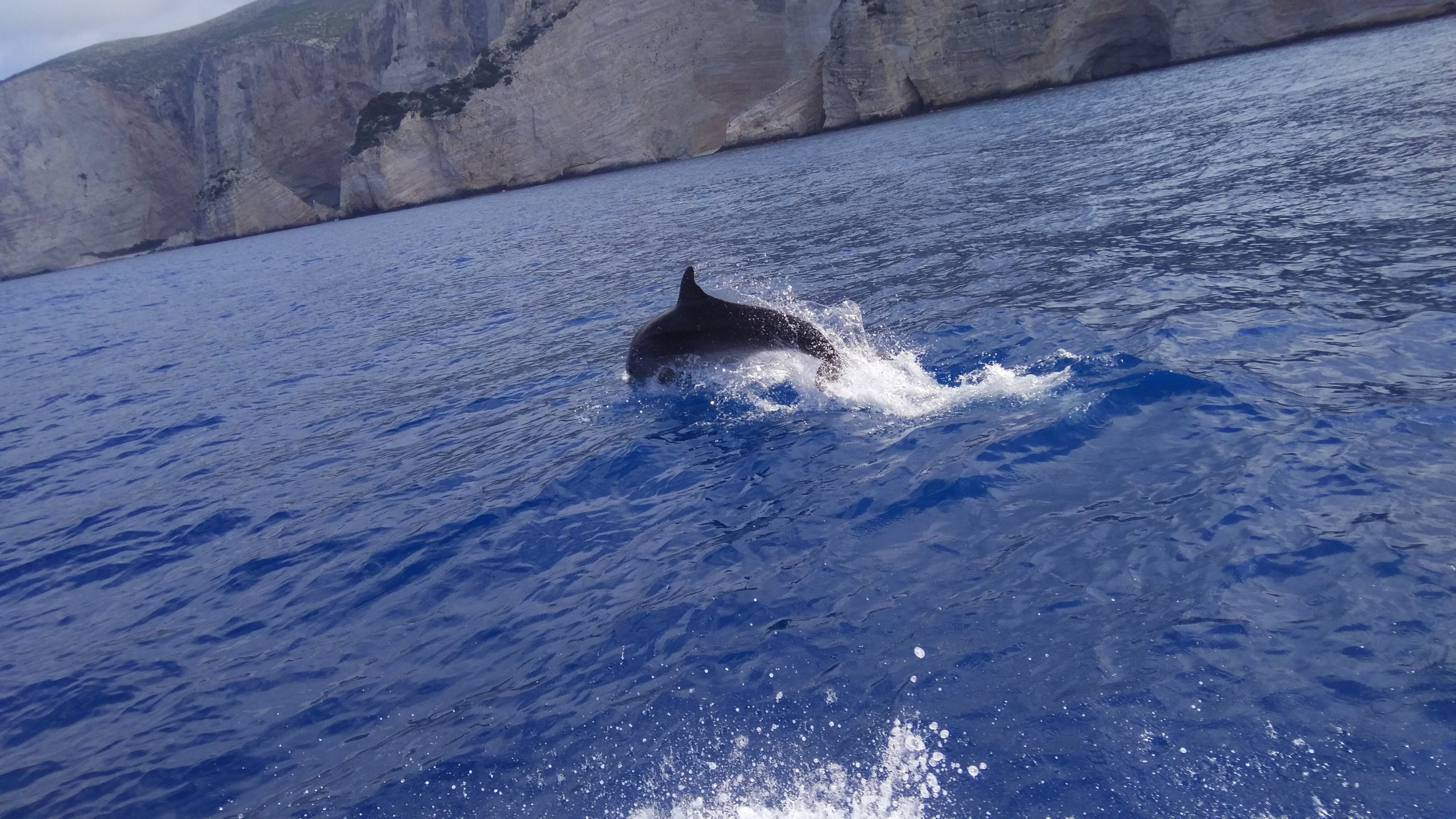 Zakynthos: Ultimate Shipwreck Beach & Blue Caves Day Expedition