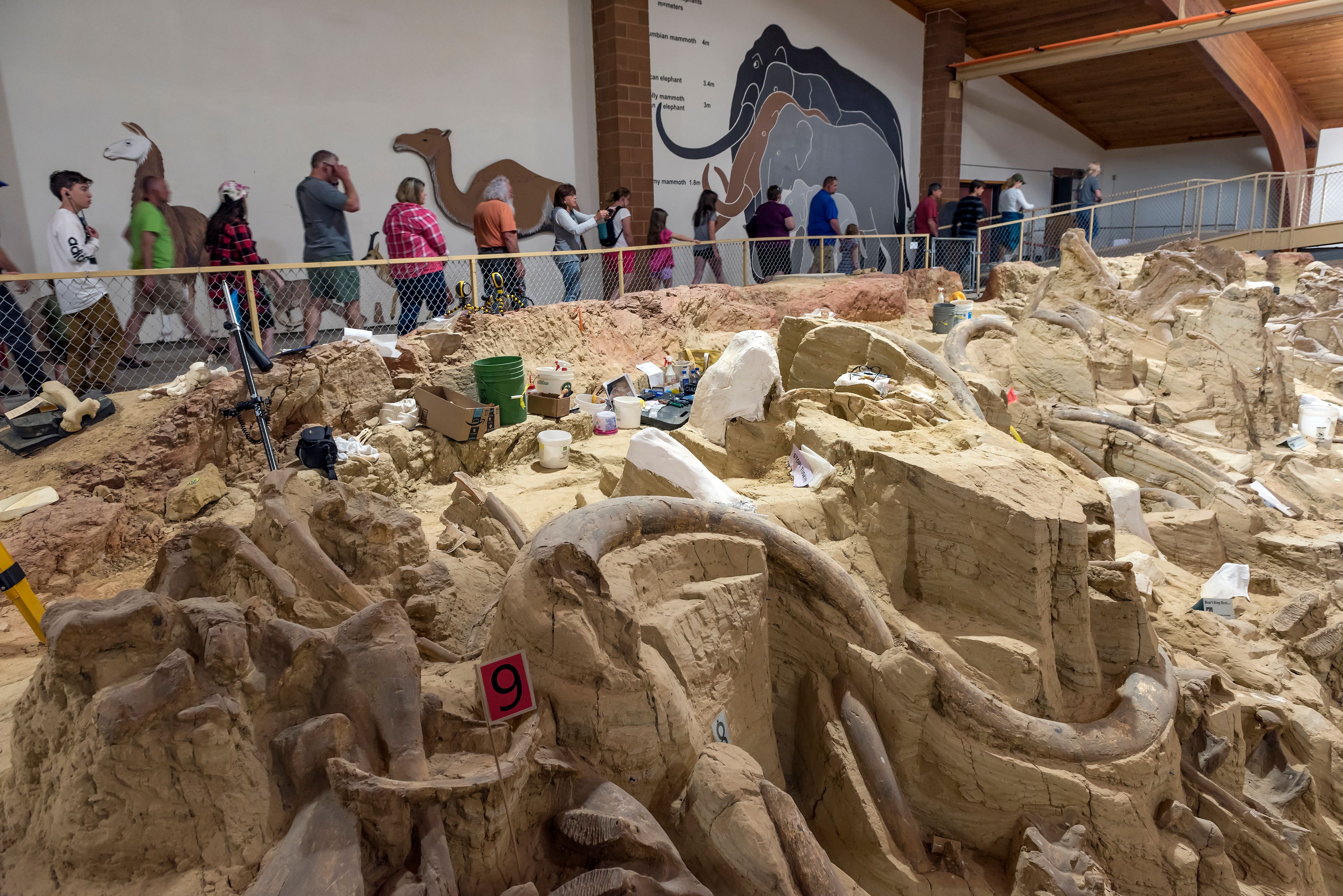 Custer State Park Wildlife Safari & Ice Age Mammoth Site