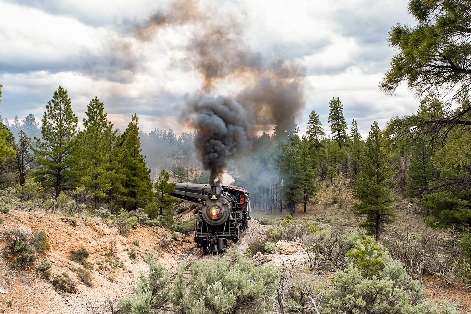 Williams to Grand Canyon Historic Round-Trip Train Experience