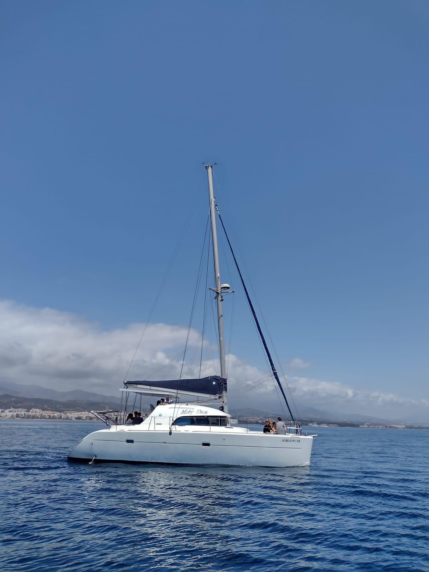 Estepona Catamaran & Dolphin Watching Adventure