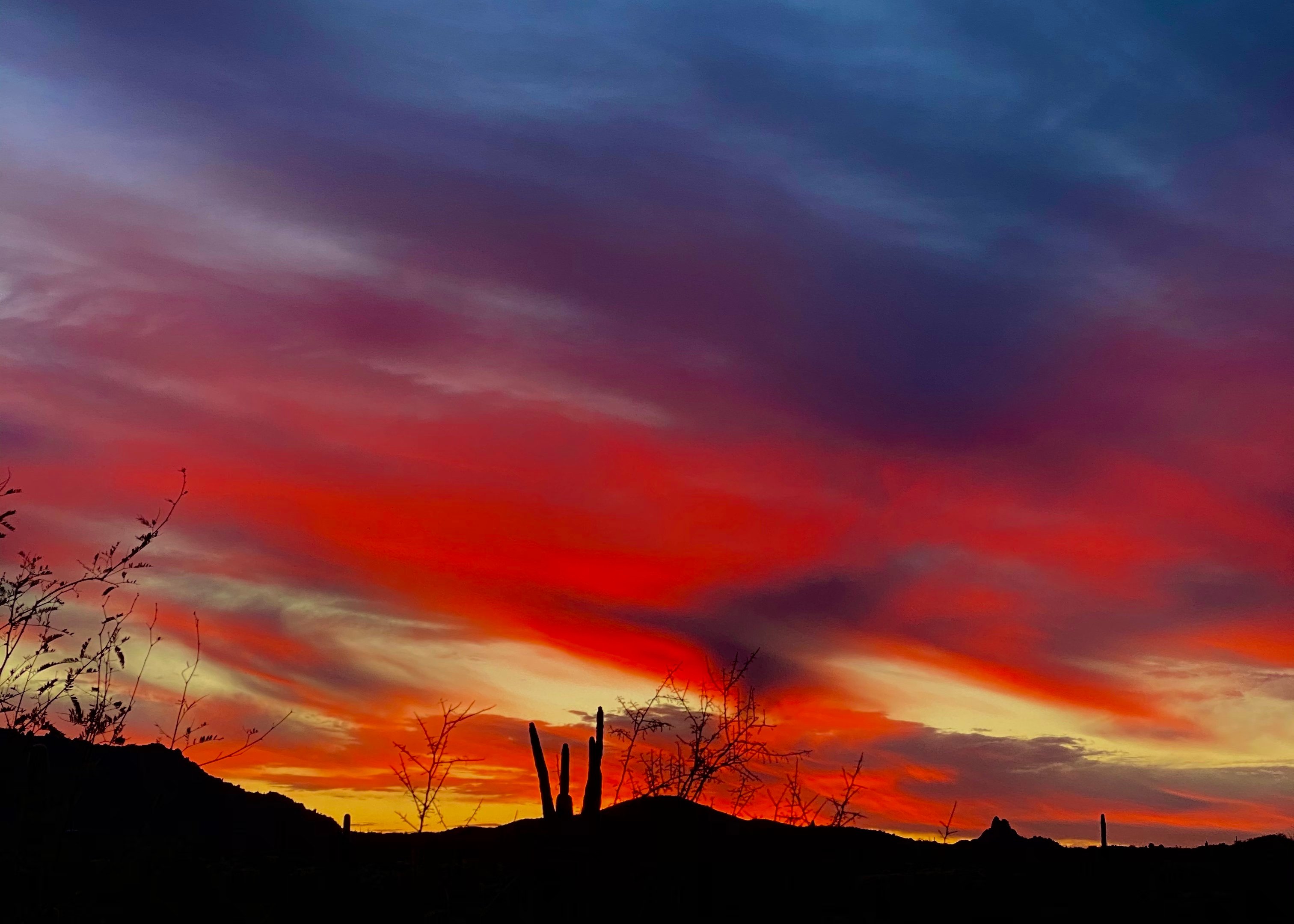 Sonoran Desert Sunset Hike with Local Guide