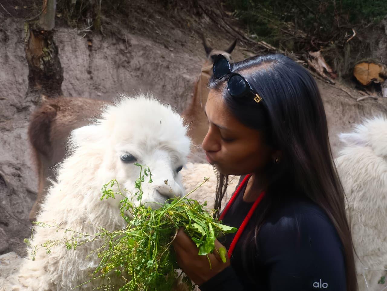 Wildlife Rescue Center & Alpaca Encounter