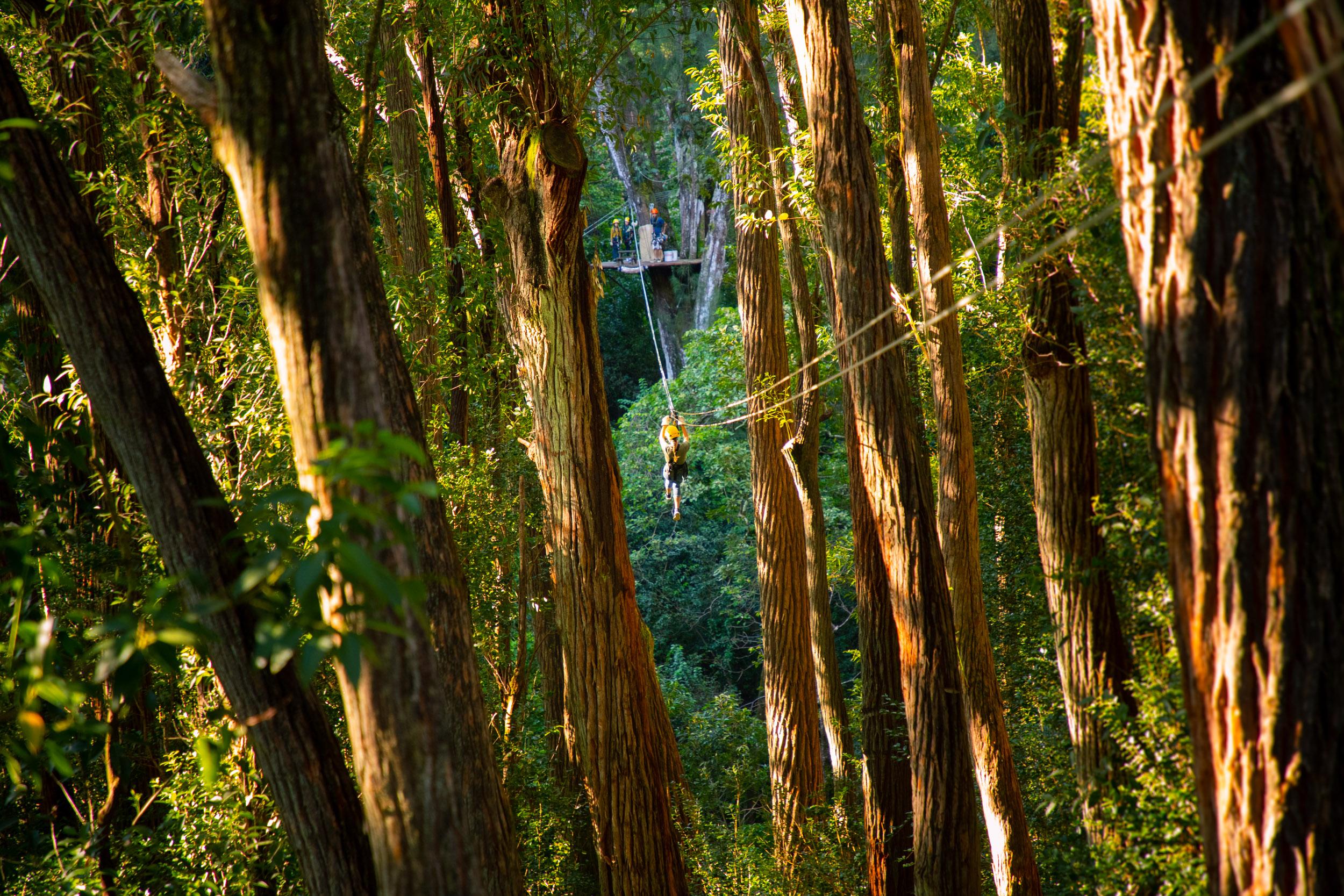Kohala Zipline Adventure on the Big Island