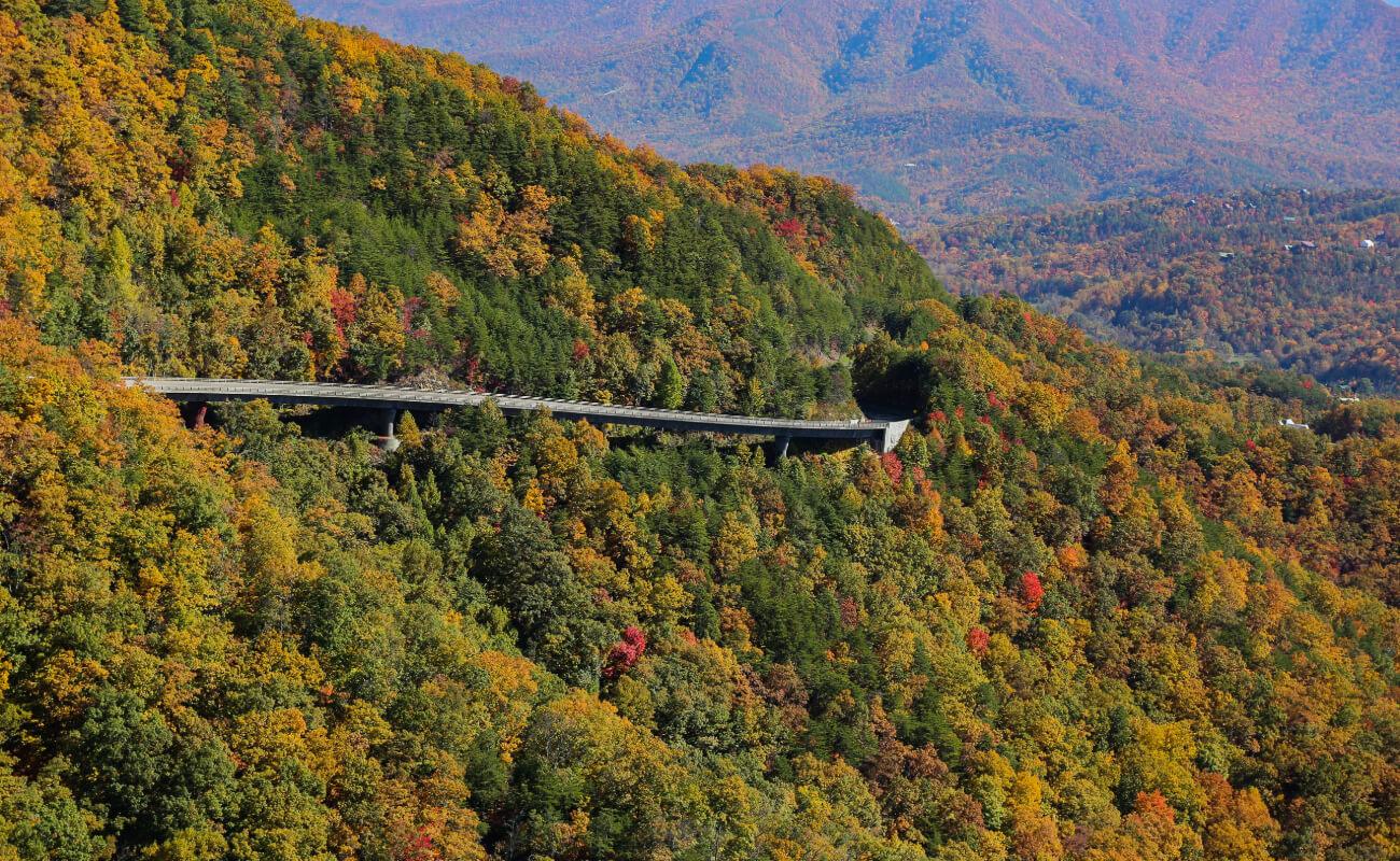 Wears Valley Helicopter Flight