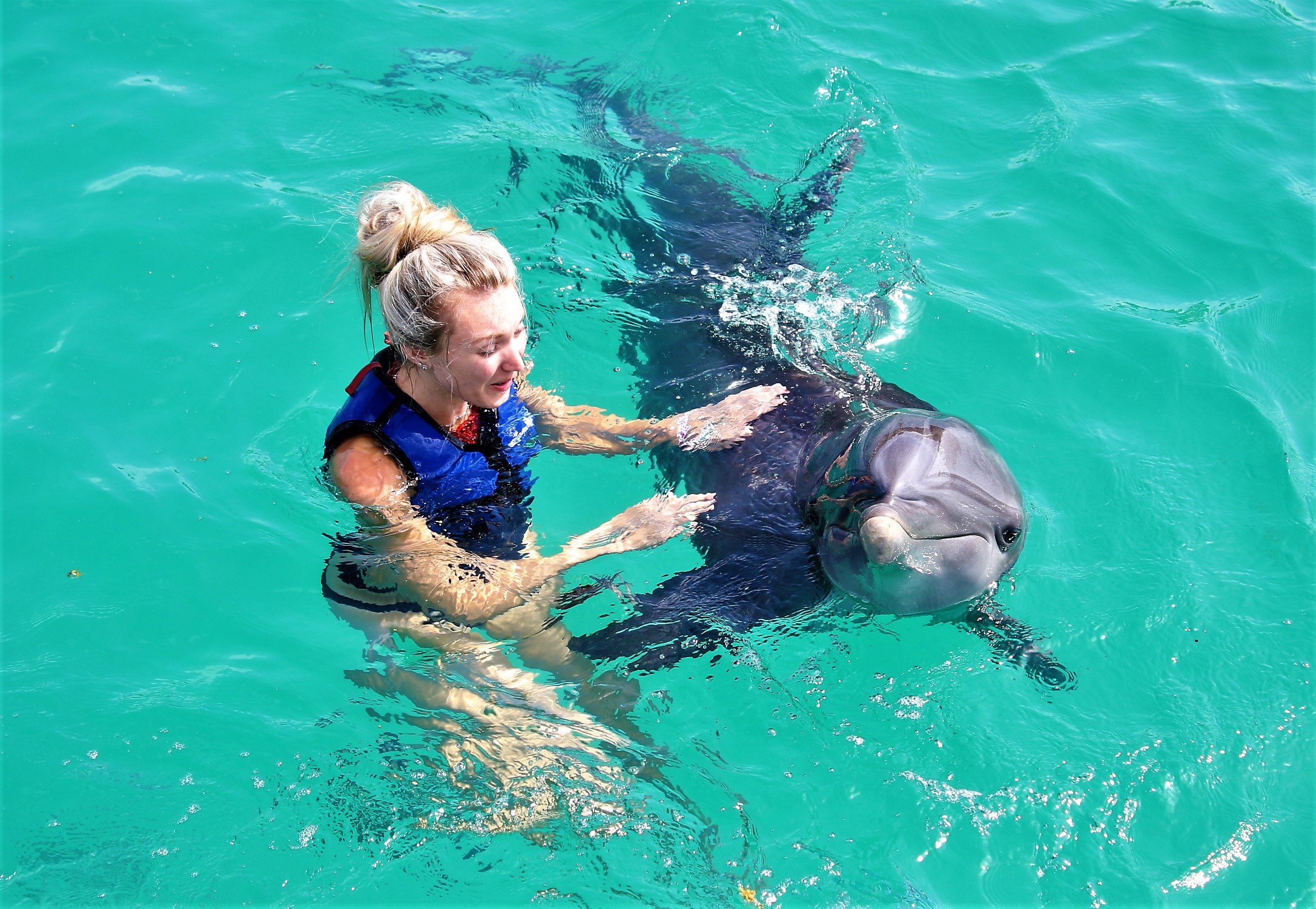 Dolphin Encounter at Coral World Ocean Park
