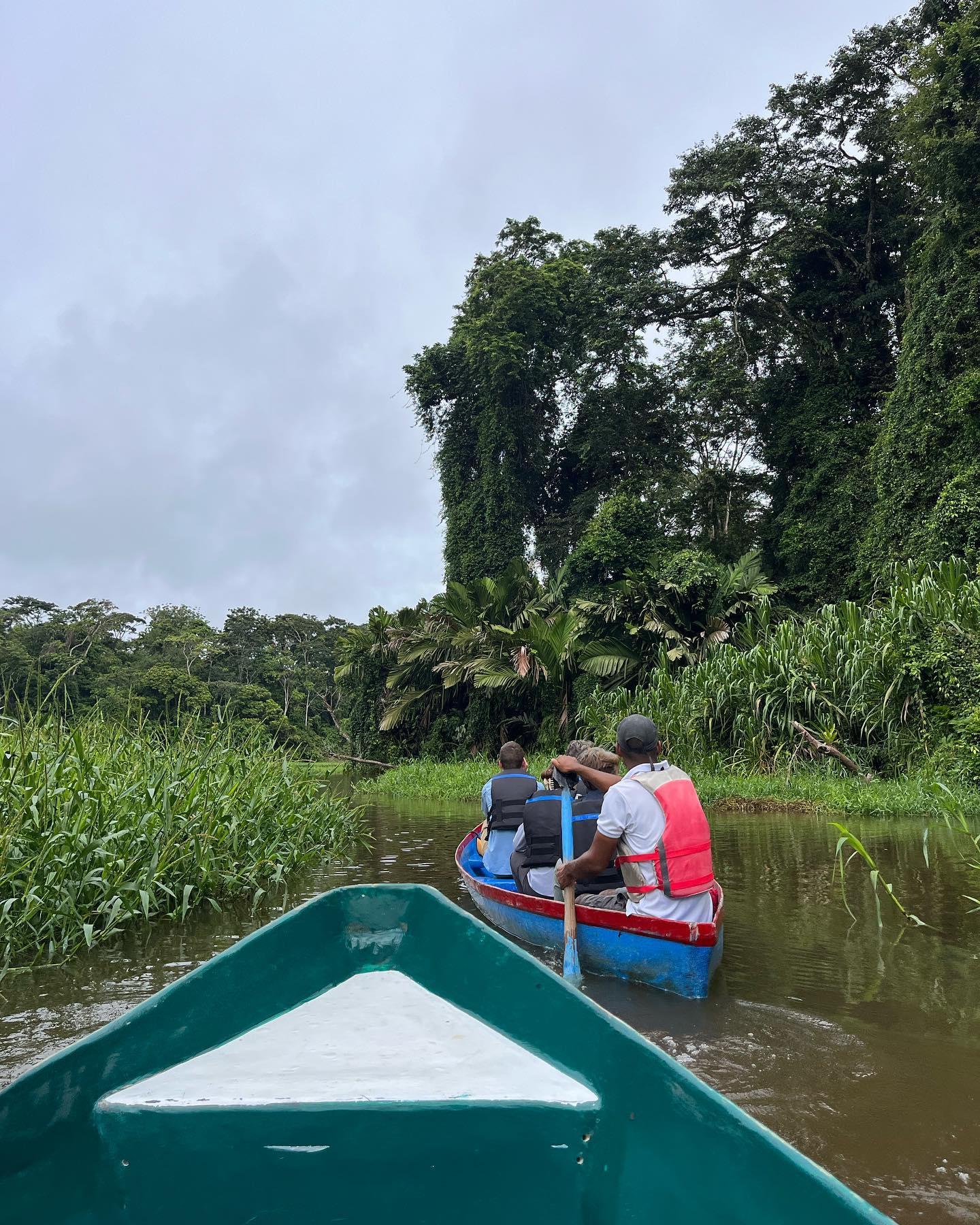 Tortuguero National Park Canoe Wildlife Tour