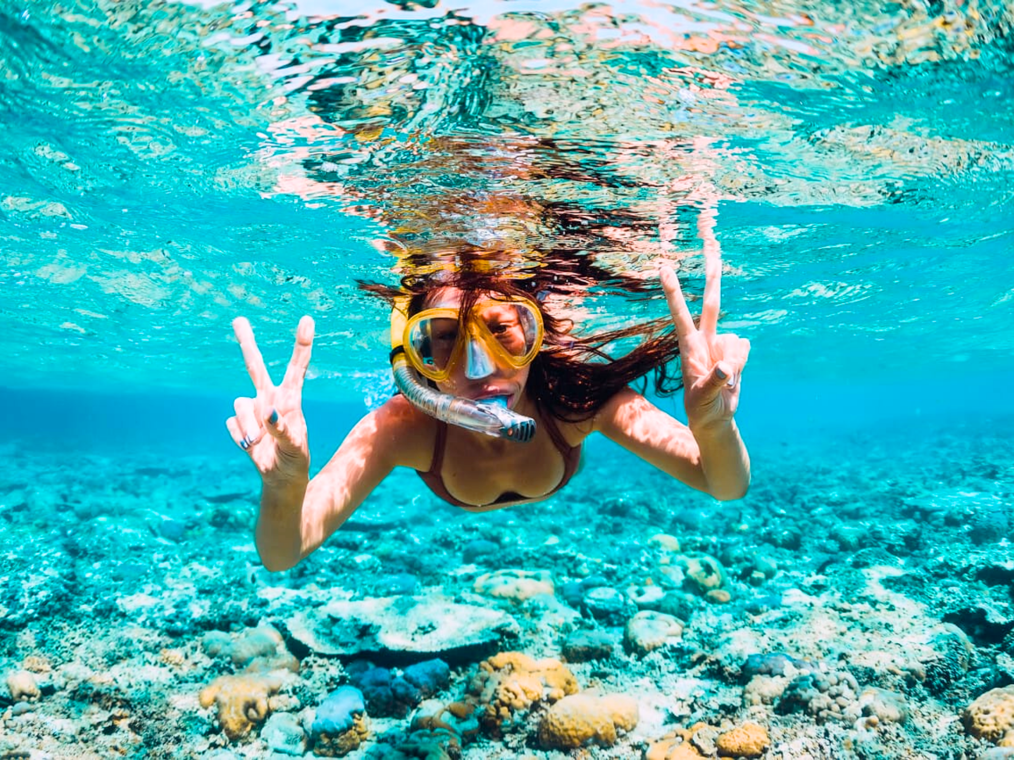 Rosario Islands Caribbean Escape: 3-Beach Club Island Hopping