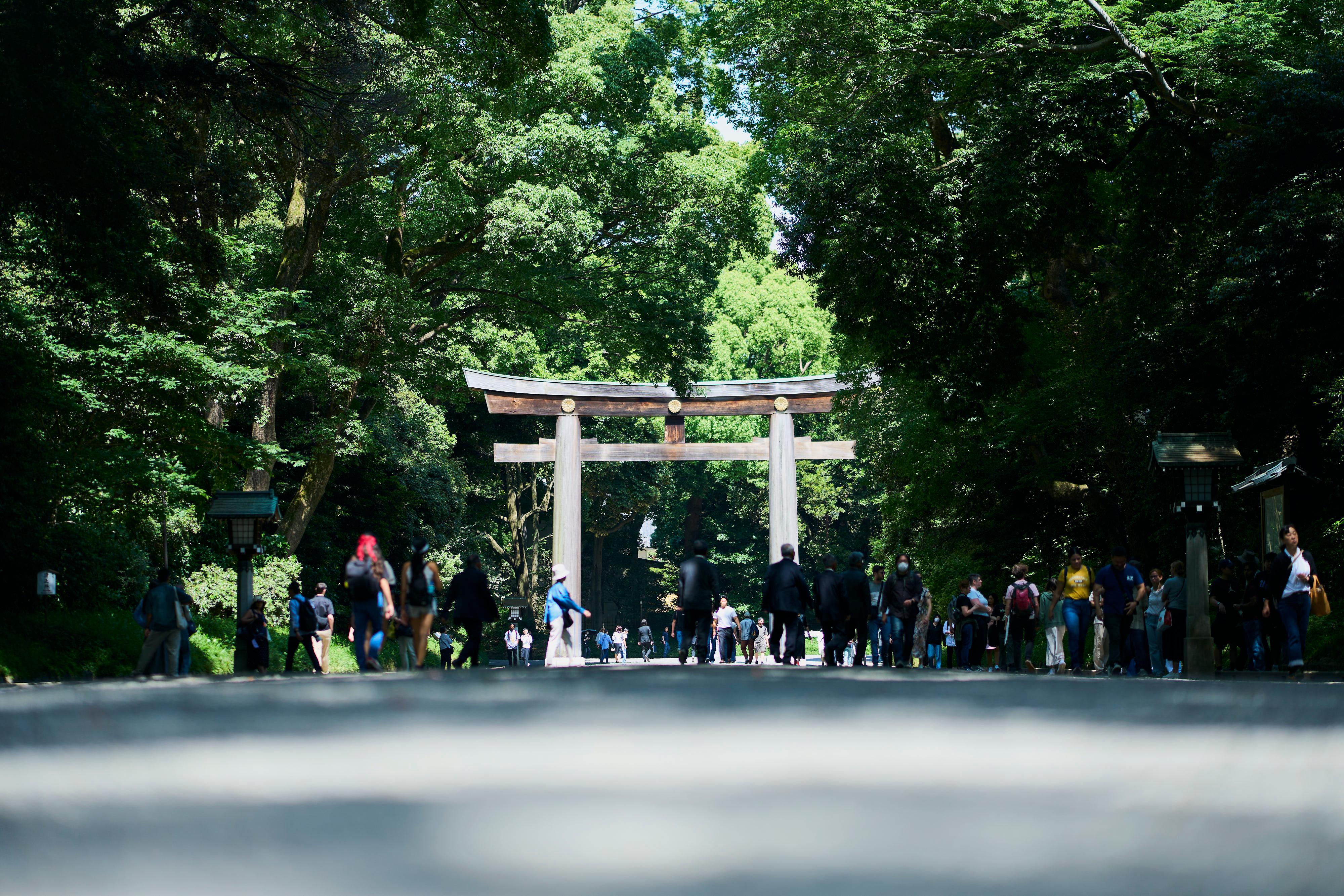 Tokyo Meiji Shrine Walking Tour: Shinto Faith & Imperial Legacy