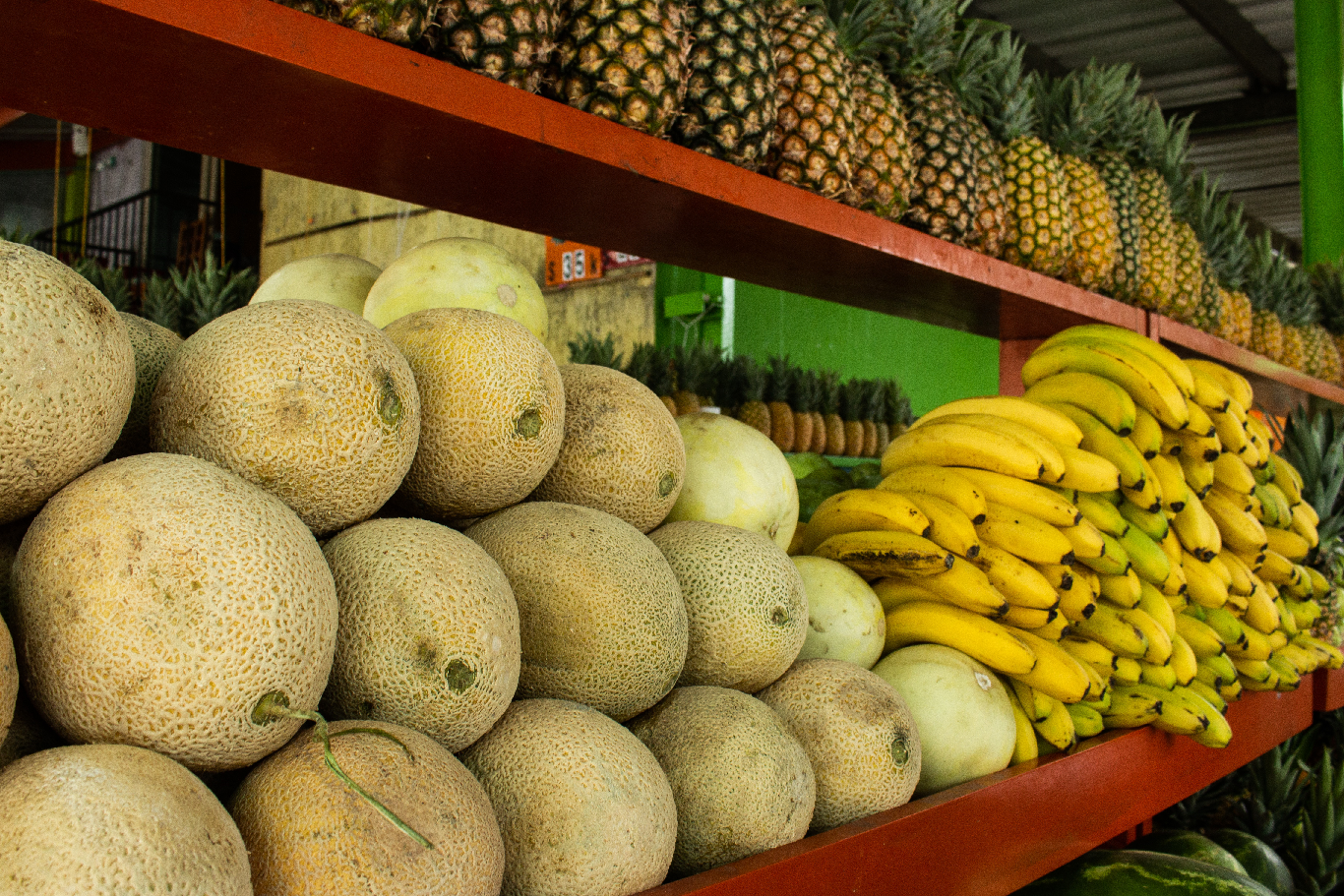 Playa del Carmen Vegan Food Walking Tour
