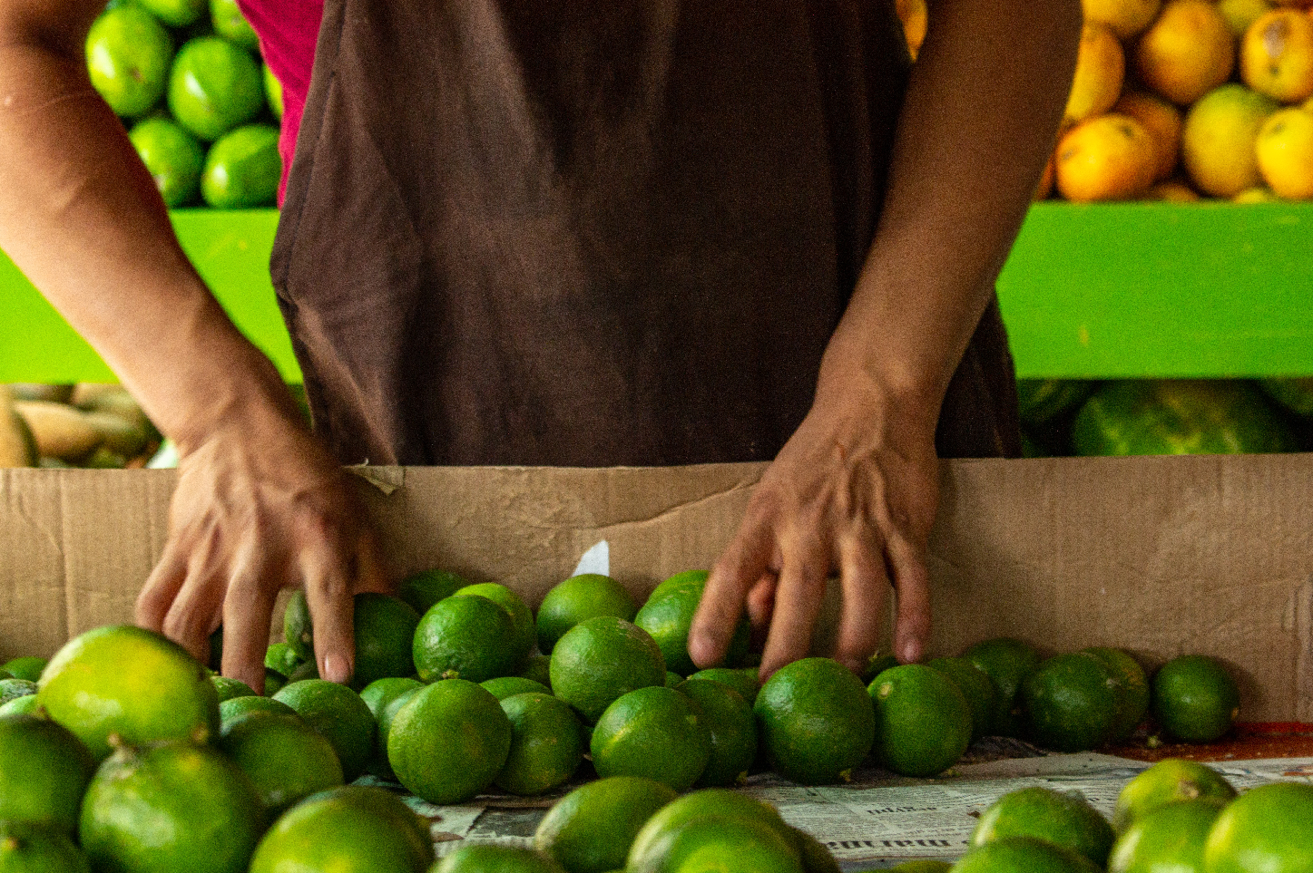 Playa del Carmen Vegan Food Walking Tour