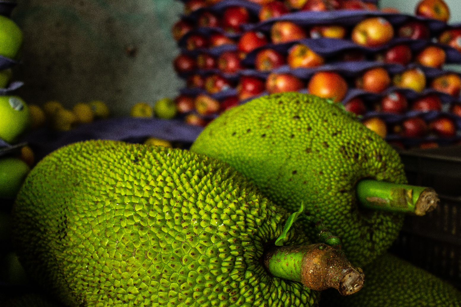 Playa del Carmen Vegan Food Walking Tour
