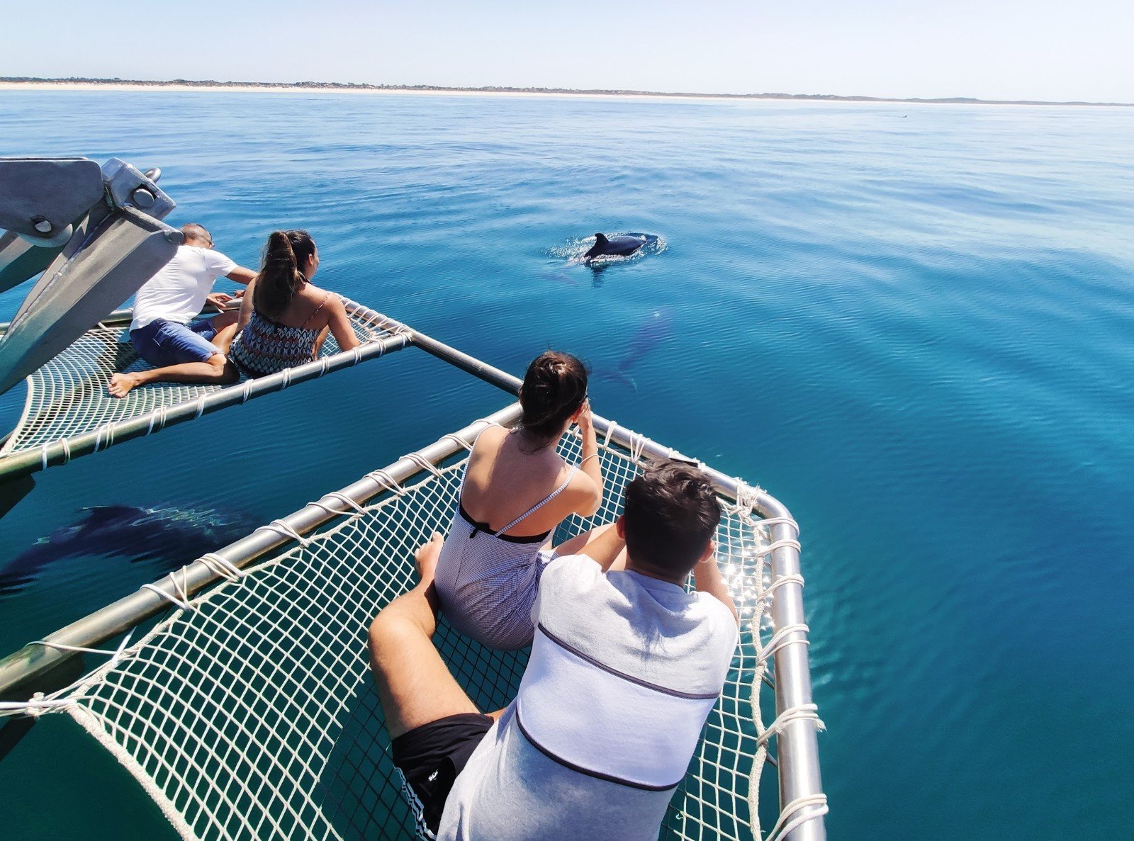 Setúbal Dolphin Watching Catamaran Experience
