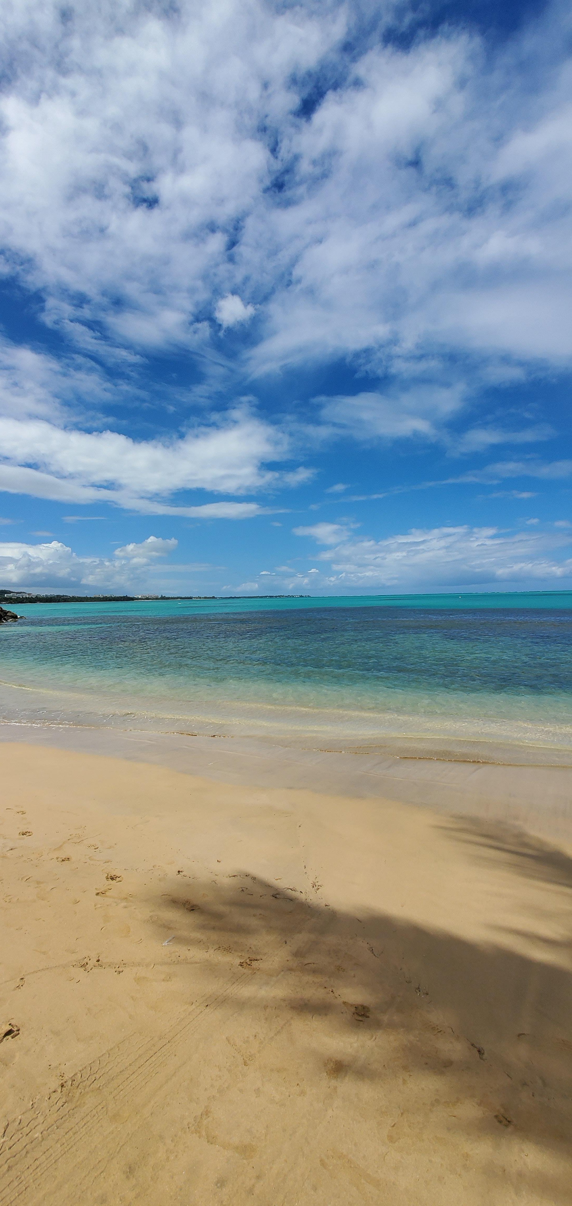 El Yunque Rainforest & Luquillo Beach Adventure