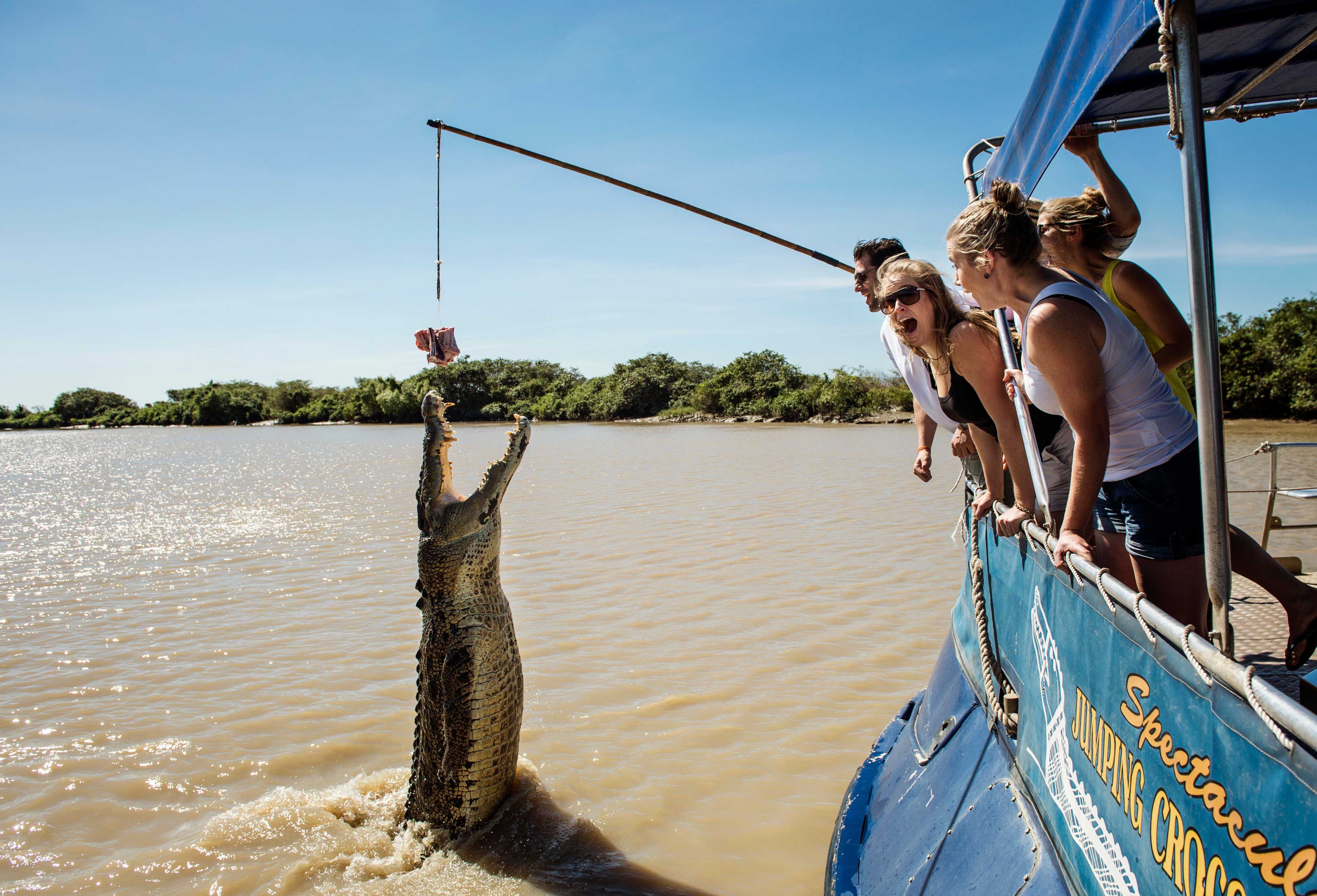 Adelaide River Jumping Crocodile Cruise from Darwin
