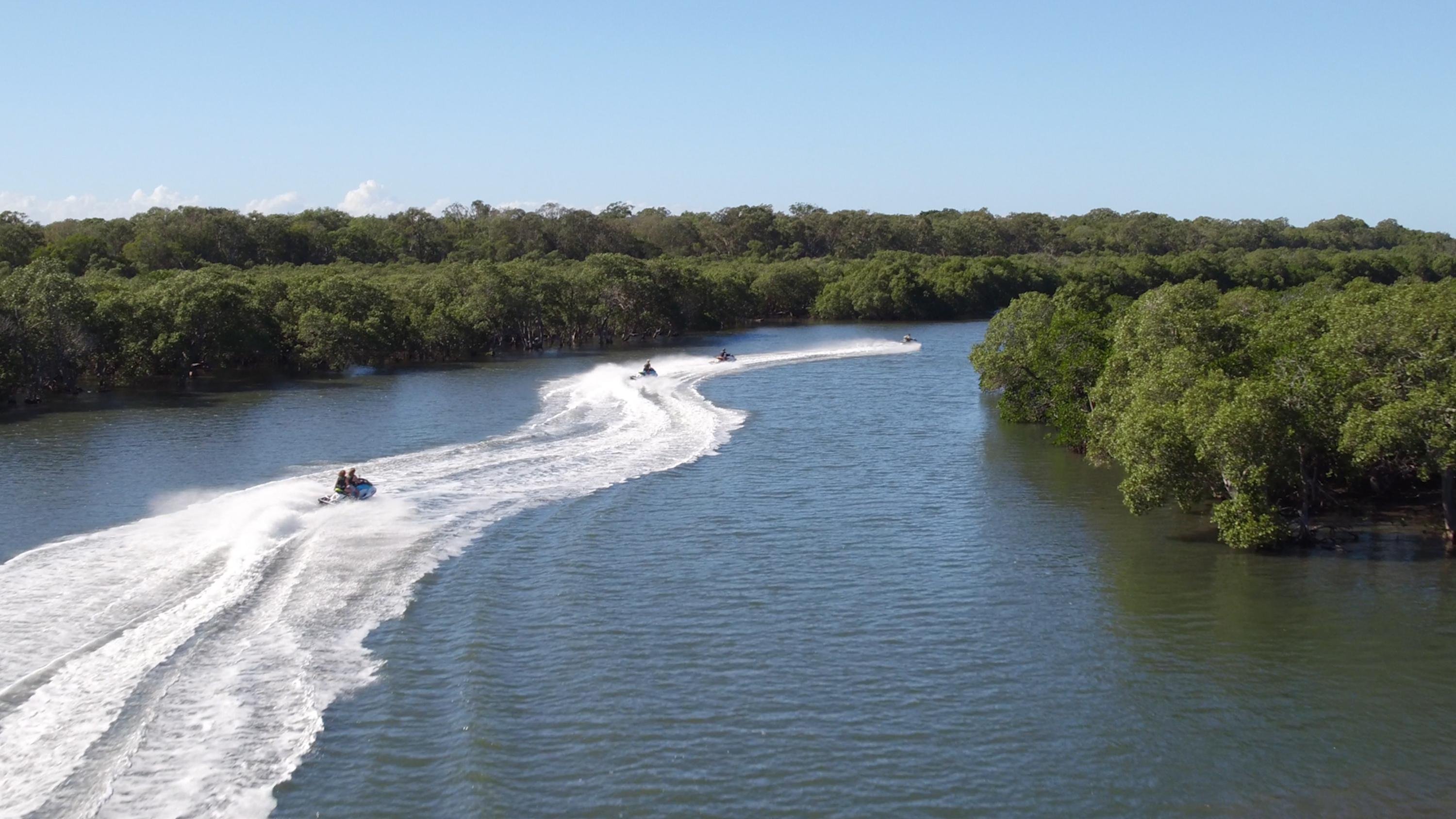 Whale Watching for 2 plus 30 Minute Jet Ski Safari