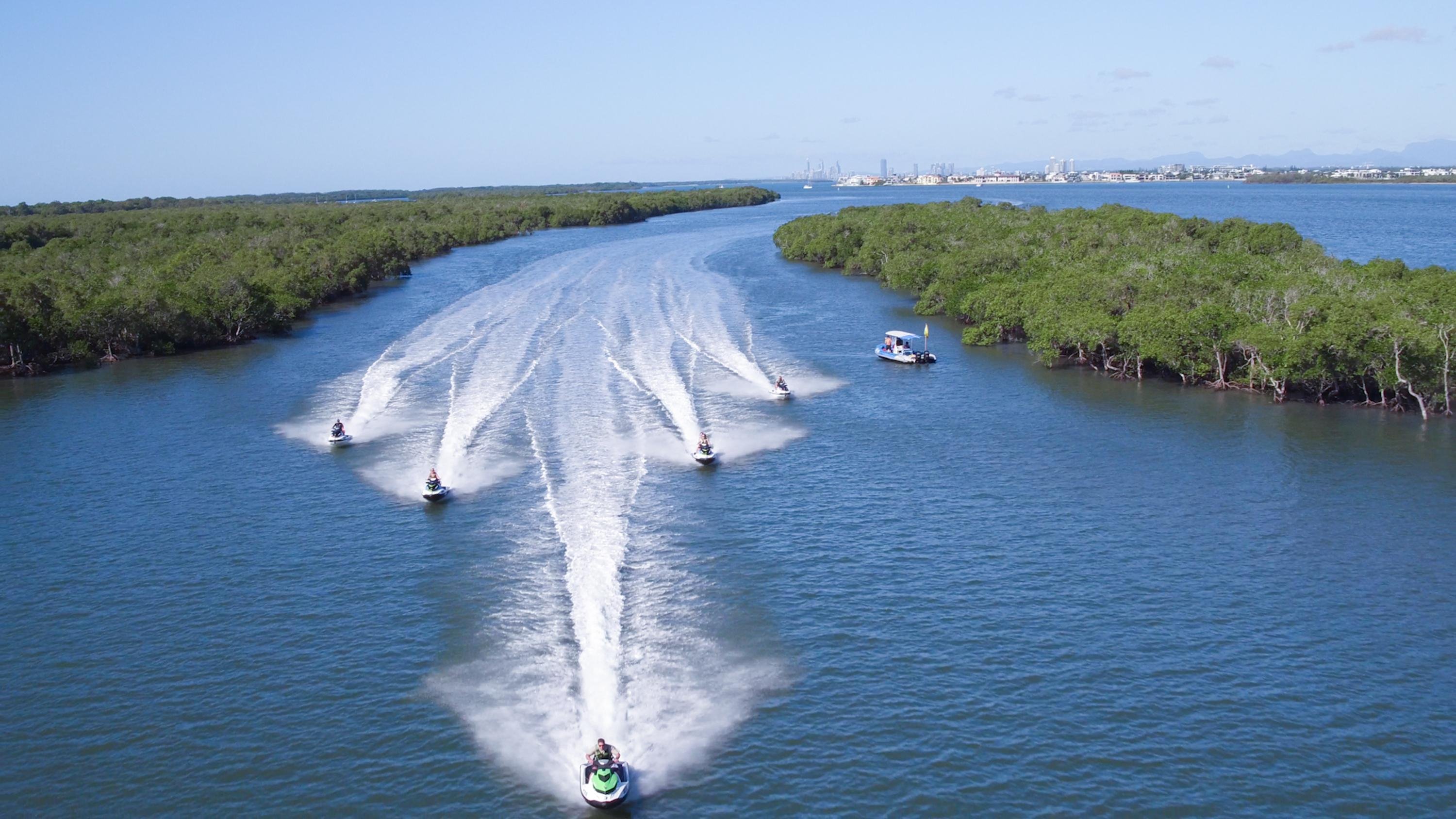 Whale Watching for 2 plus 30 Minute Jet Ski Safari