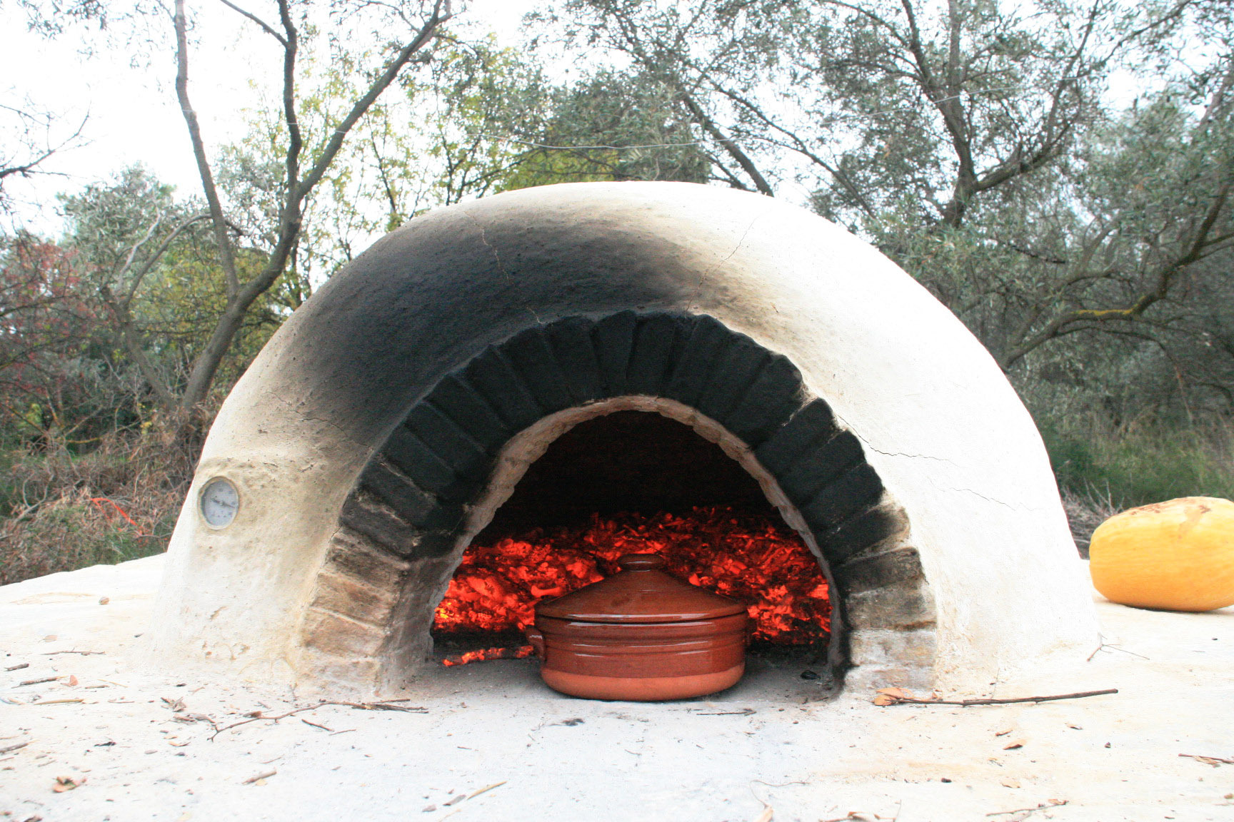 Corfu Cooking Class, Market Tour & Olive Oil Tasting
