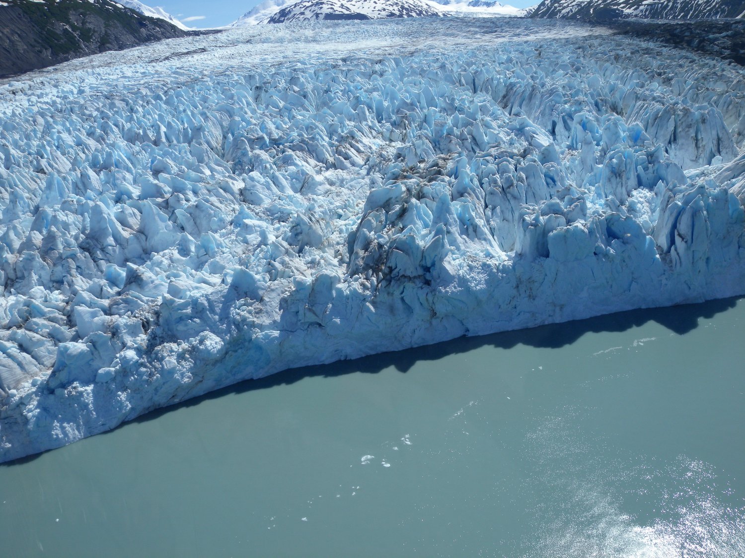 Glacier & Wildlife Discovery from Anchorage