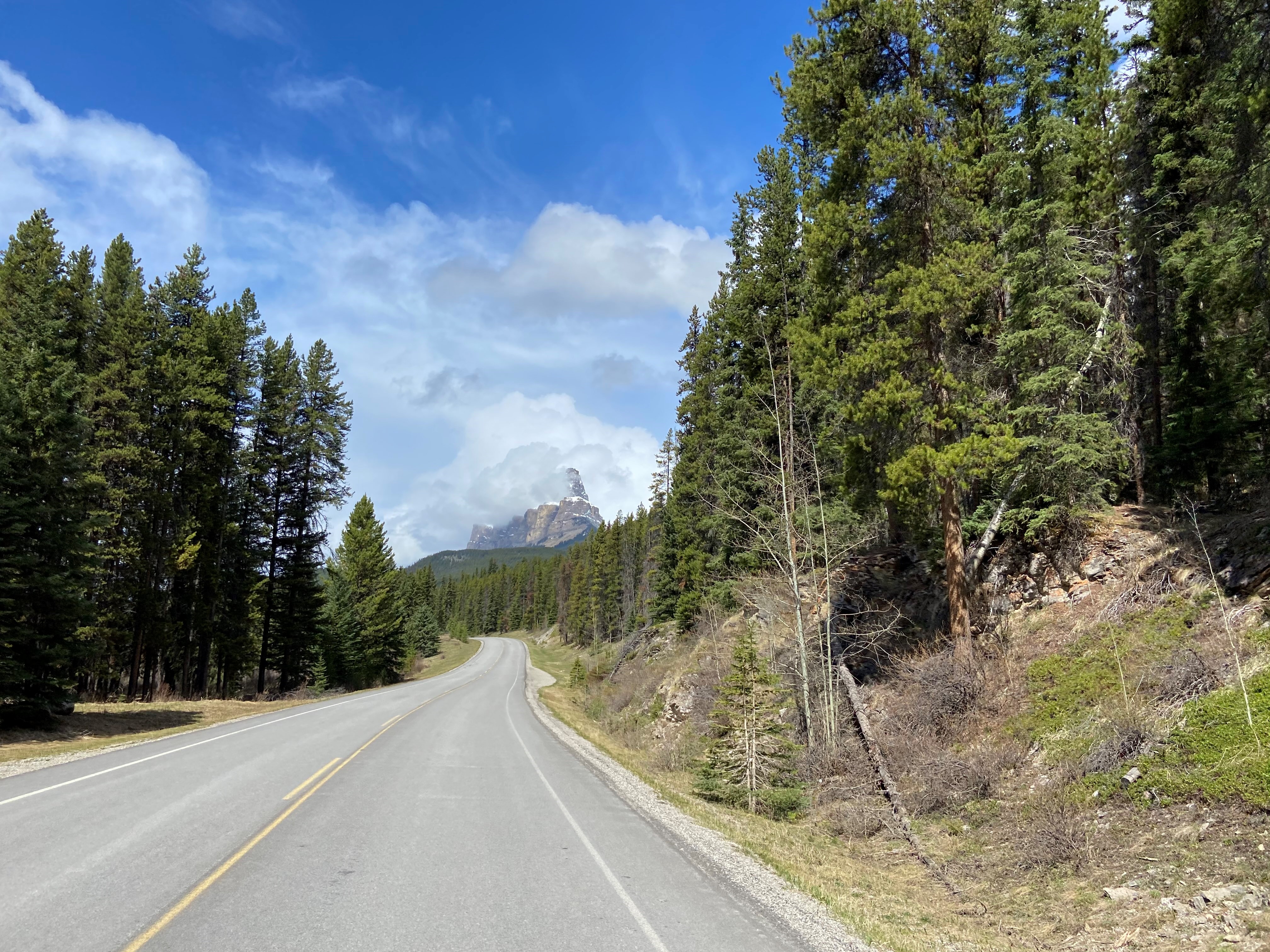 Johnston Canyon e-bike and walking tour — Bow Valley Parkway cycling, Banff (5)