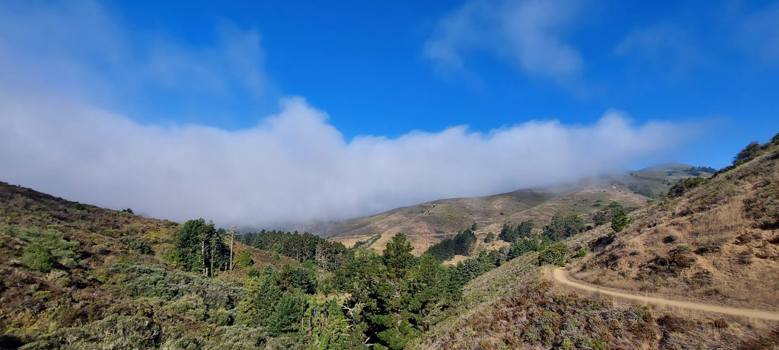 Muir Woods, Sausalito, and Exclusive Alcatraz Night Tour
