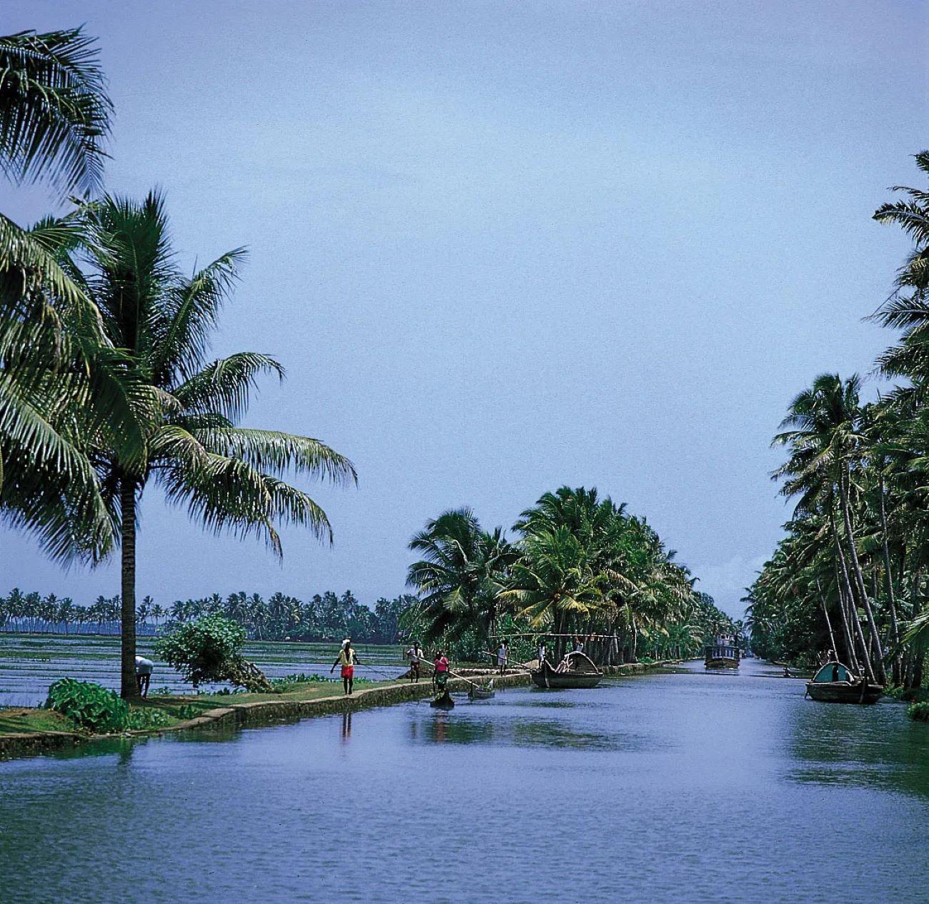 6-Day Kerala Backwaters and Houseboat Private Expedition