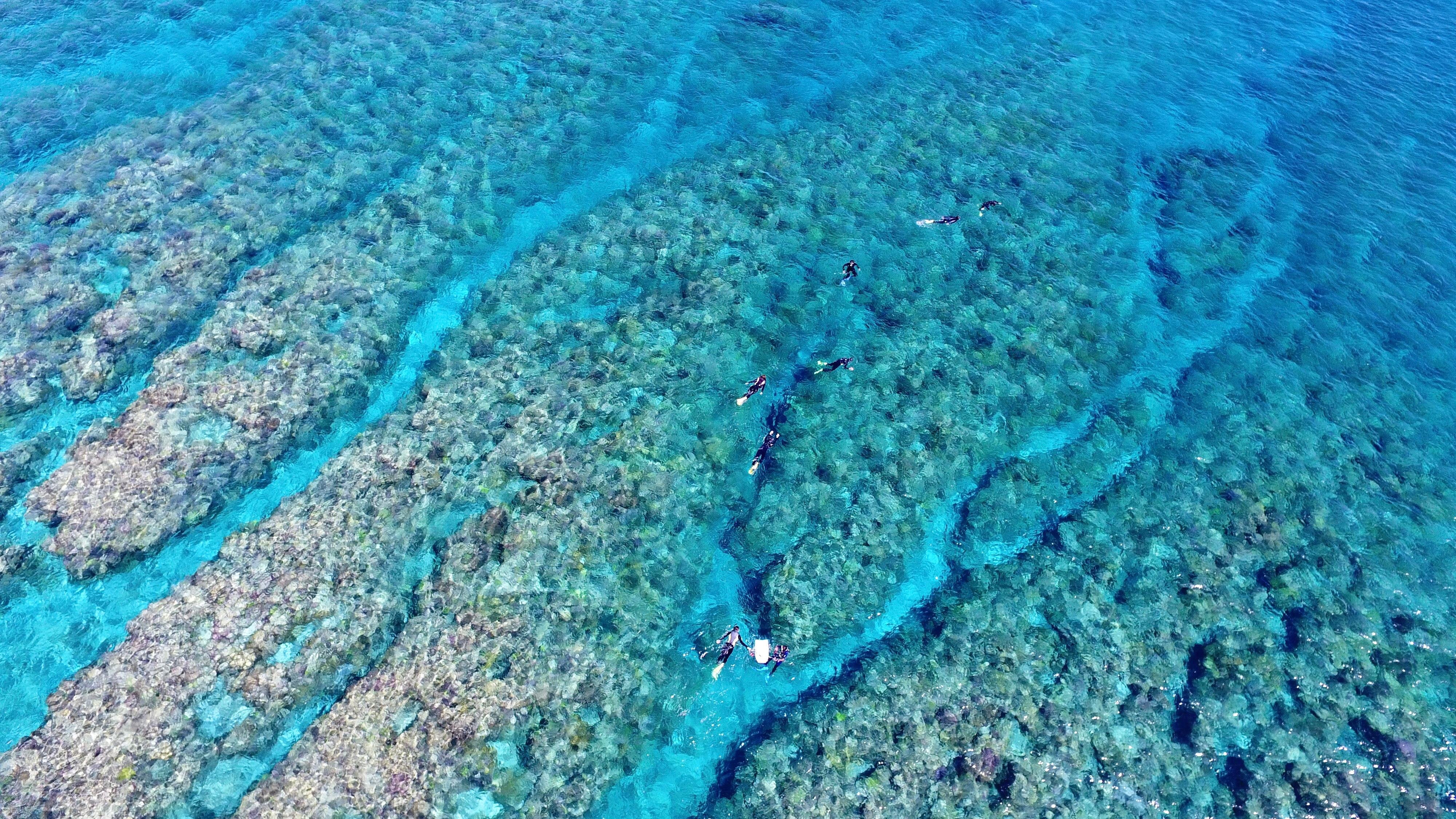 Kerama Islands Snorkeling from Naha