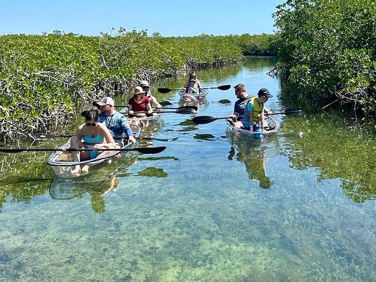 Clear Kayak Eco-Tour in the Lower Florida Keys