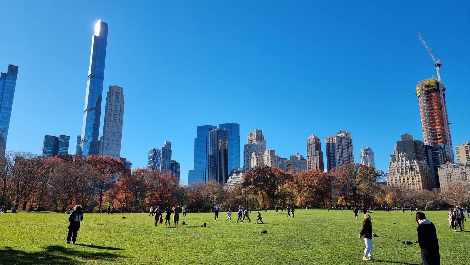 NYC Central Park Guided Pedicab Experience