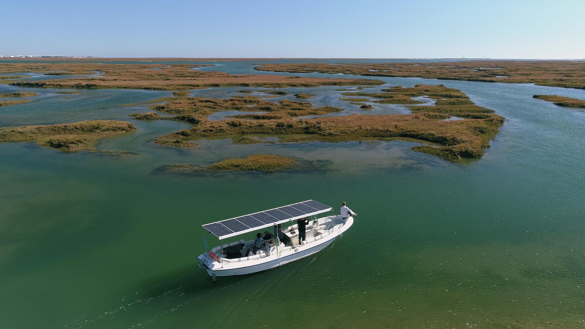Ria Formosa birdwatching tour by solar boat from Faro — image 5
