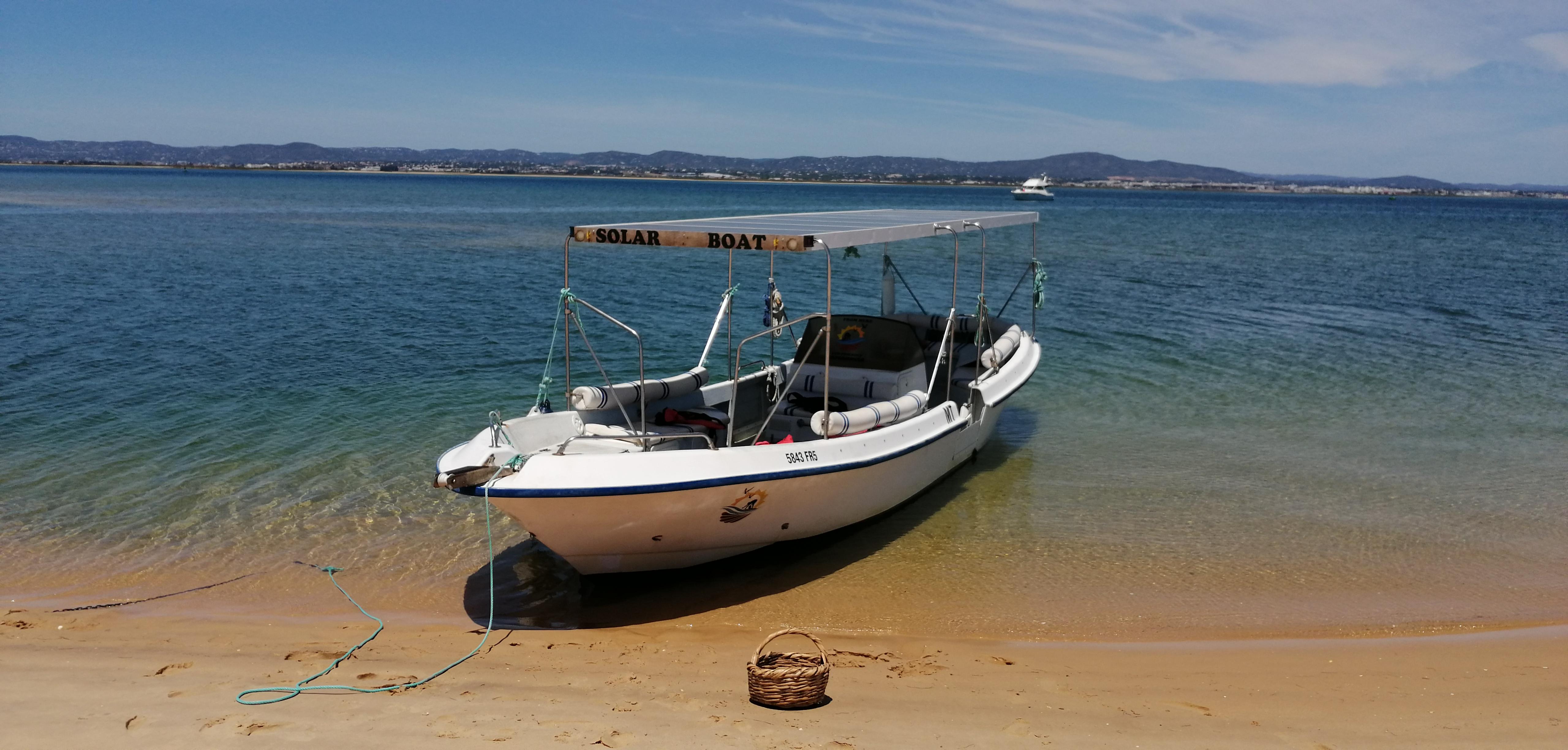 Ria Formosa birdwatching tour by solar boat from Faro — image 6