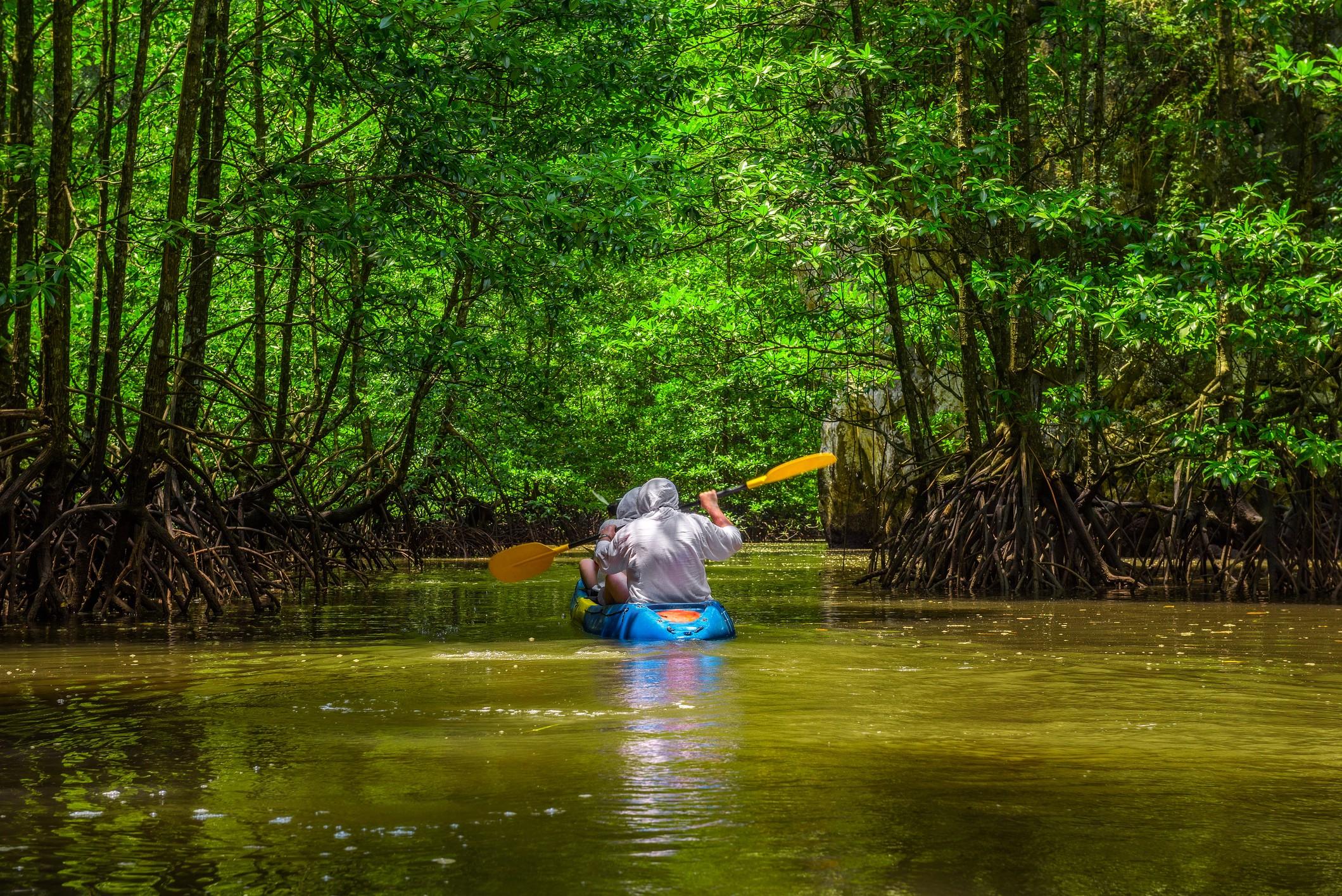 3-Day Tortuguero National Park Adventure from San José