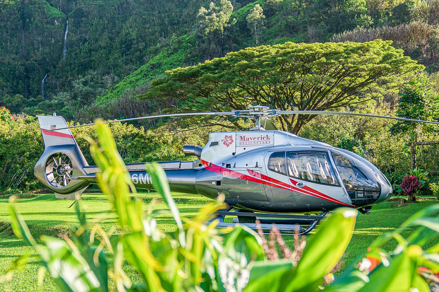 Road to Hana helicopter tour on Maui — aerial waterfalls and rainforest — image 8