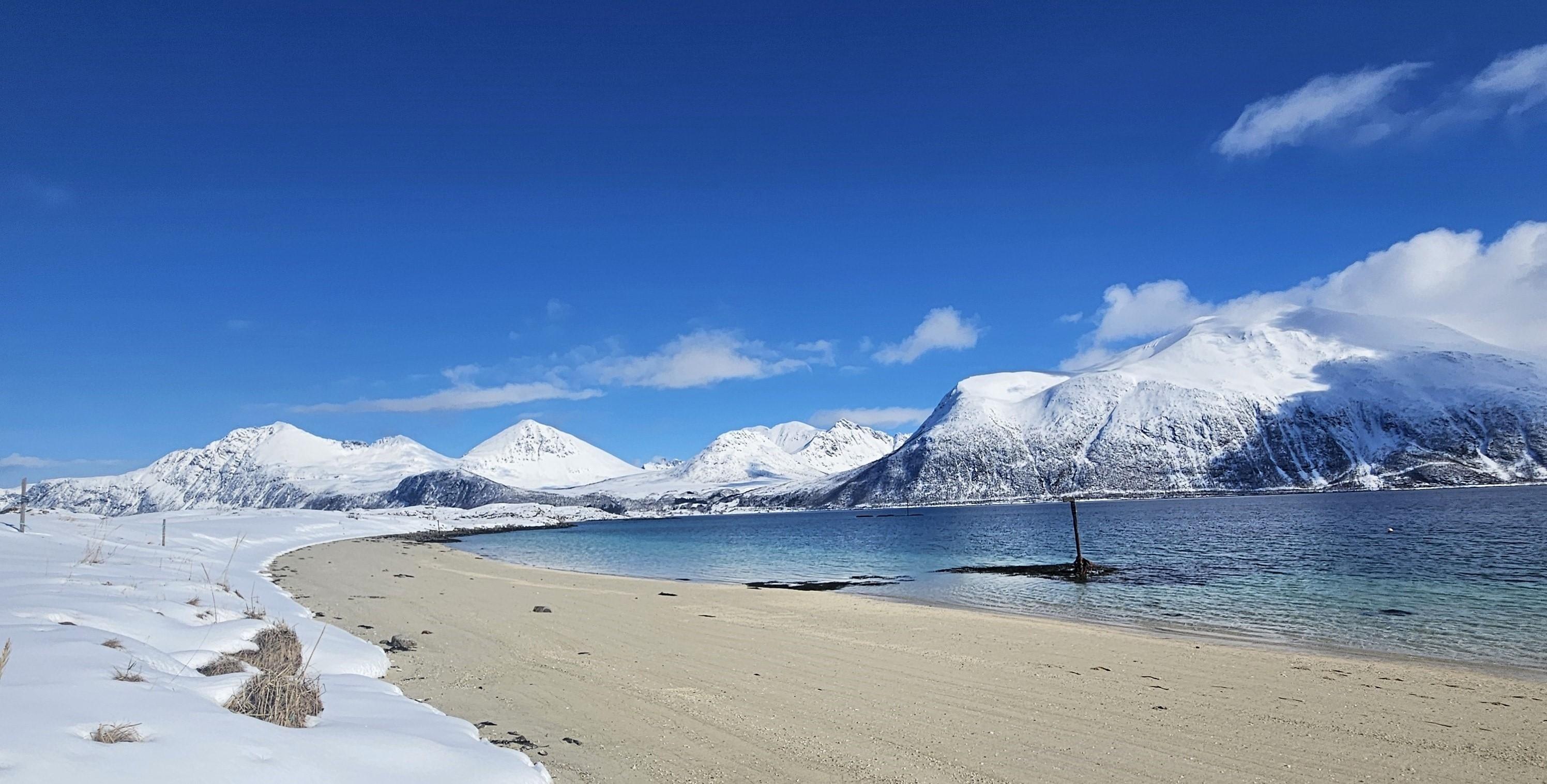 Tromsø: Sommerøya and Kvaløya Arctic Fjords Tour with Lunch — Sommarøy island Norway tour photo 3