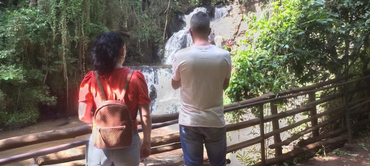 Karura Forest Hidden Waterfalls & Picnic Hike