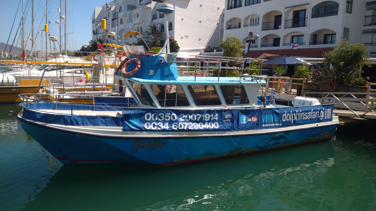 Gibraltar Dolphin Watching Boat Tour