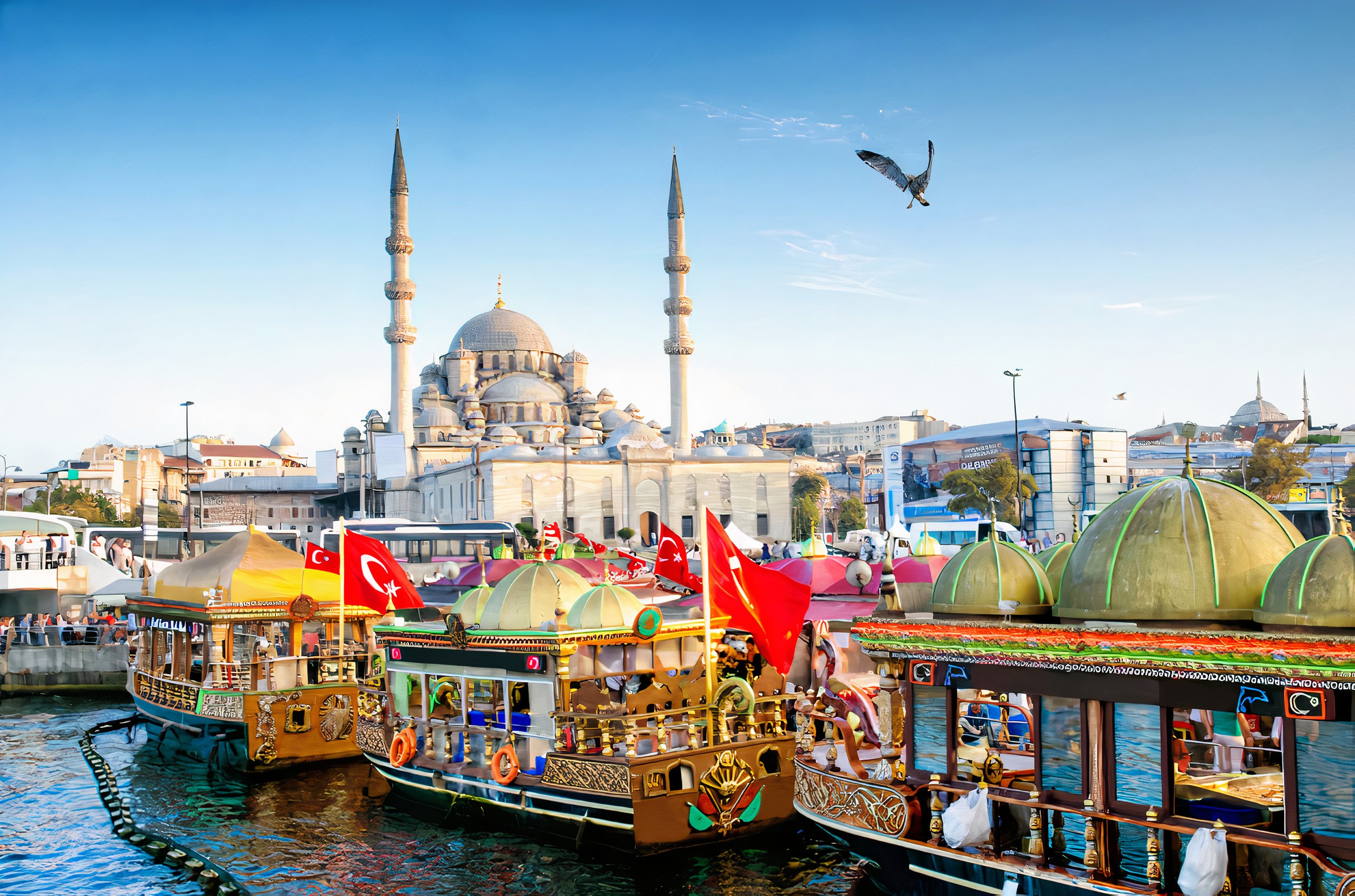 Istanbul Private Guided Tour: 1 or 2 Days with Hotel Pickup