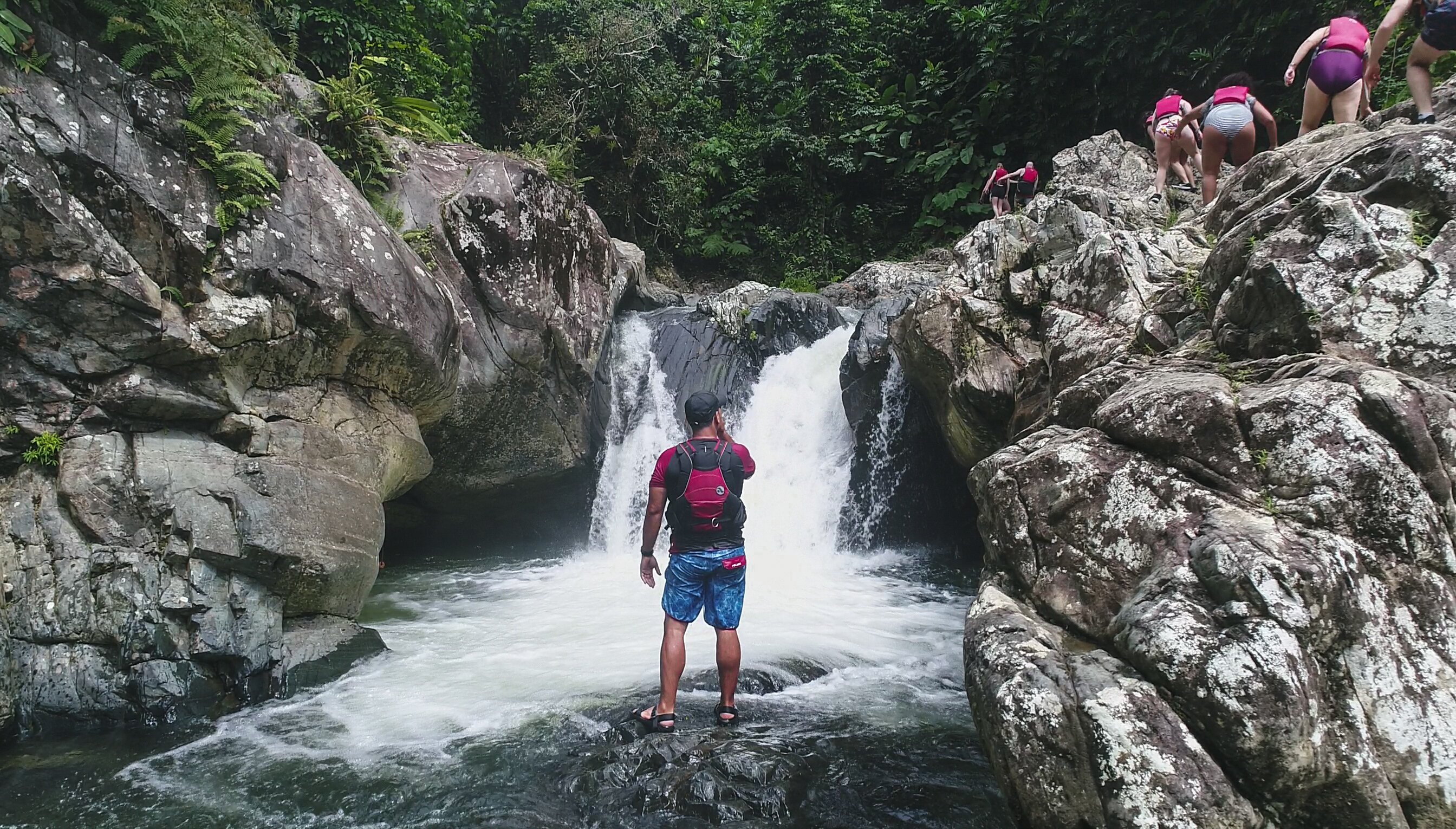 El Yunque Rainforest & Bio Bay Kayaking Adventure