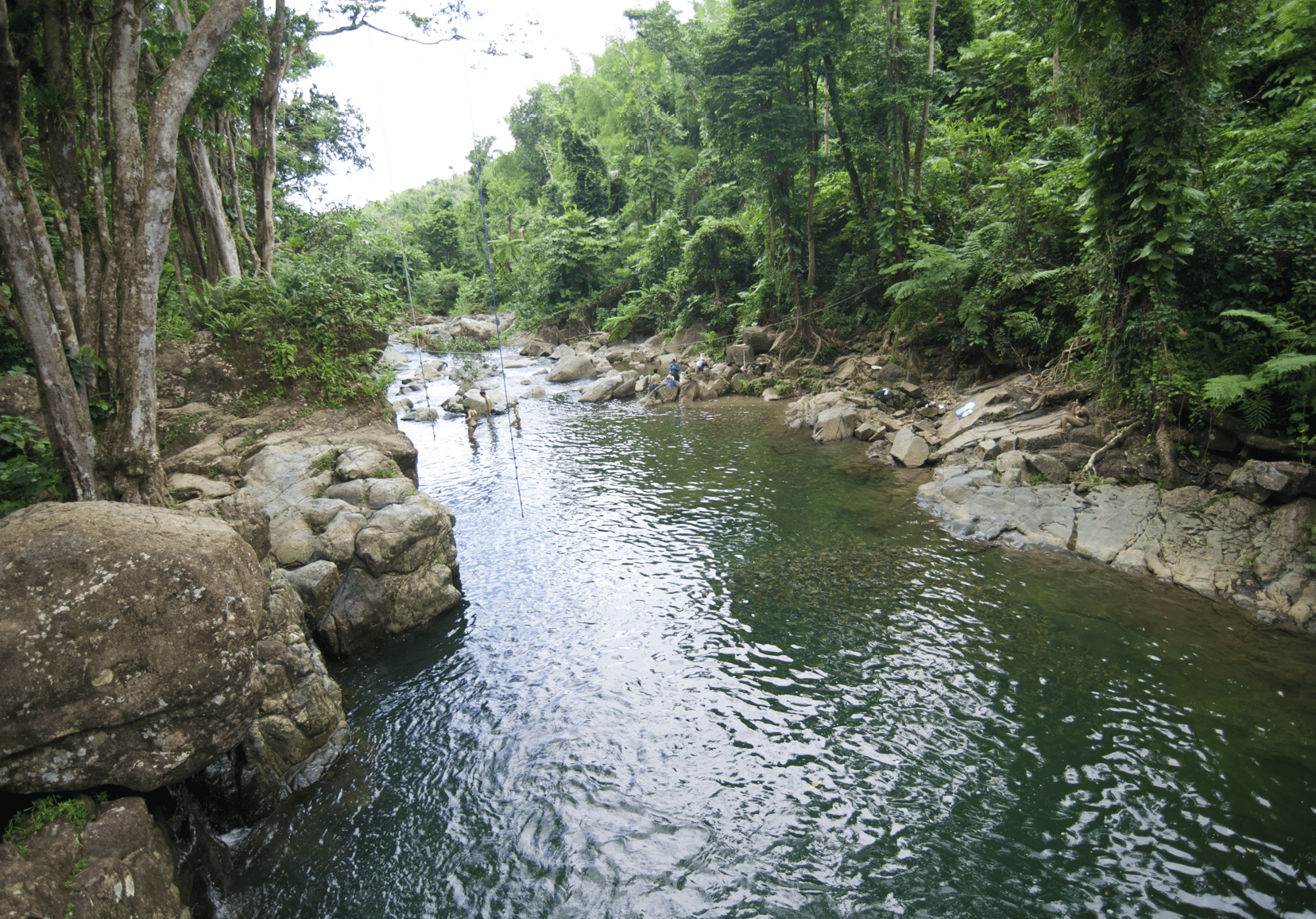 El Yunque Rainforest & Bio Bay Kayaking Adventure