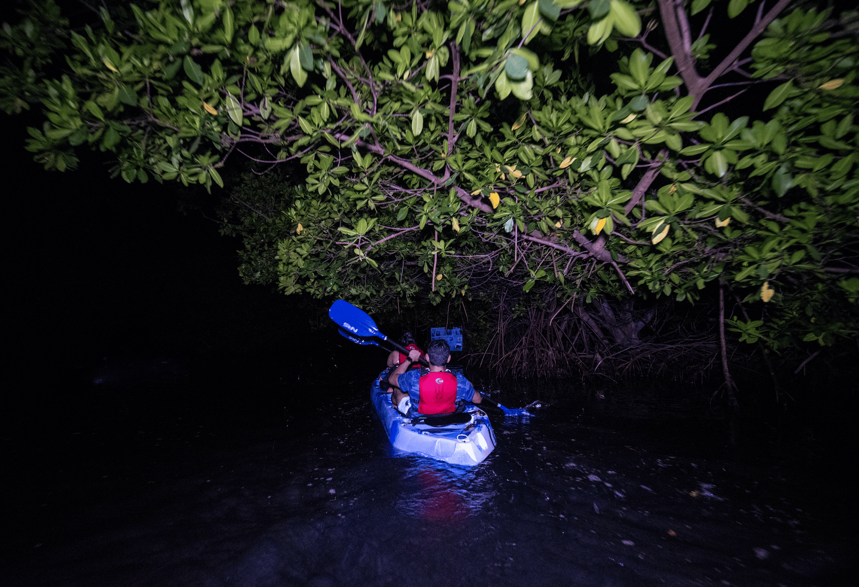 El Yunque Rainforest & Bio Bay Kayaking Adventure