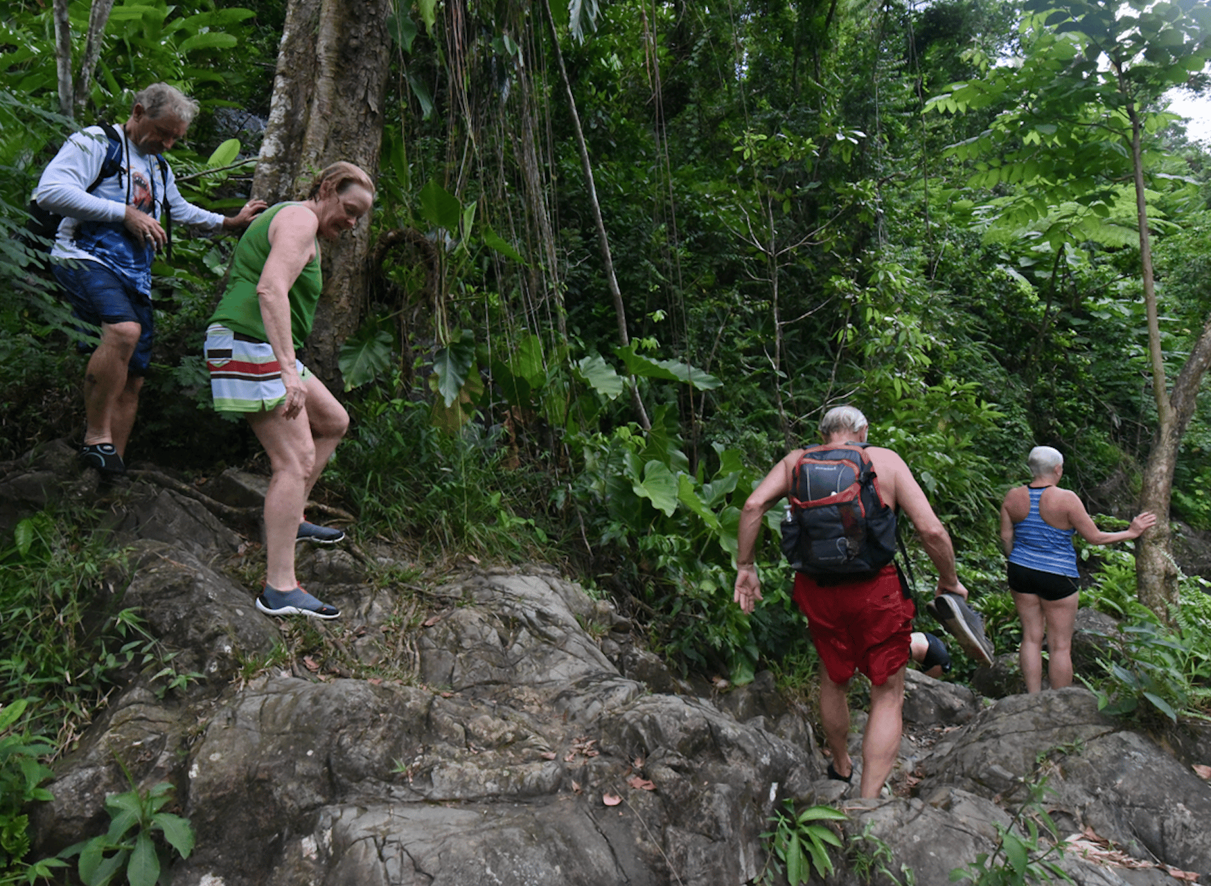 El Yunque Rainforest & Bio Bay Kayaking Adventure