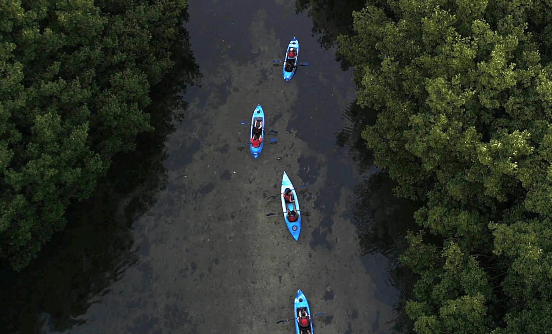 El Yunque Rainforest & Bio Bay Kayaking Adventure