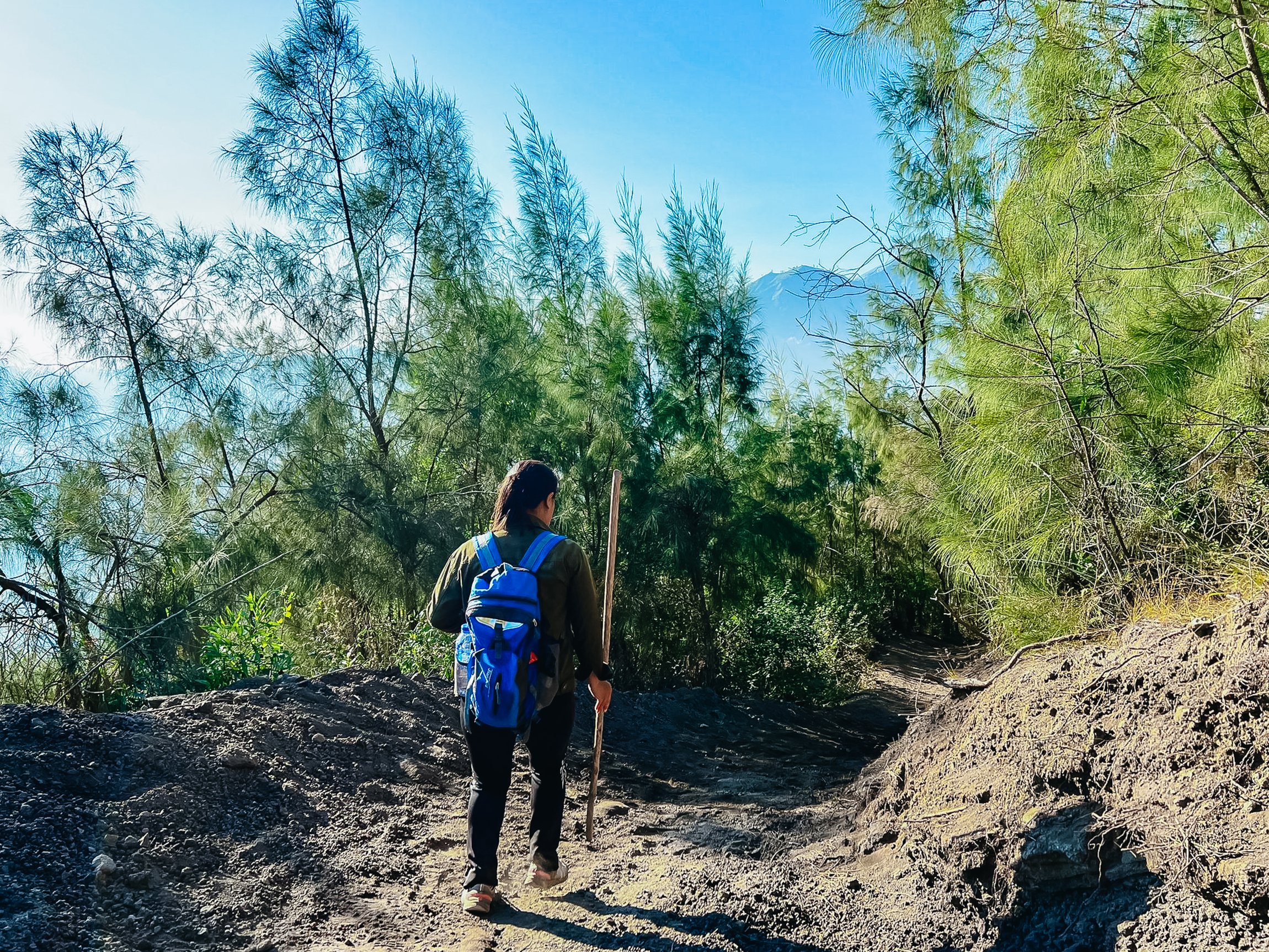 Mount Batur Sunrise Trek with Breakfast & Coffee Plantation Visit