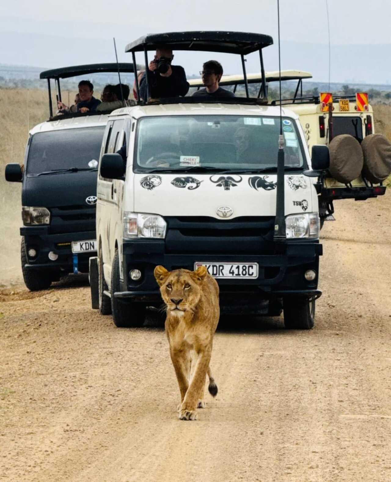 Nairobi National Park 5-Hour 4x4 Wildlife Safari
