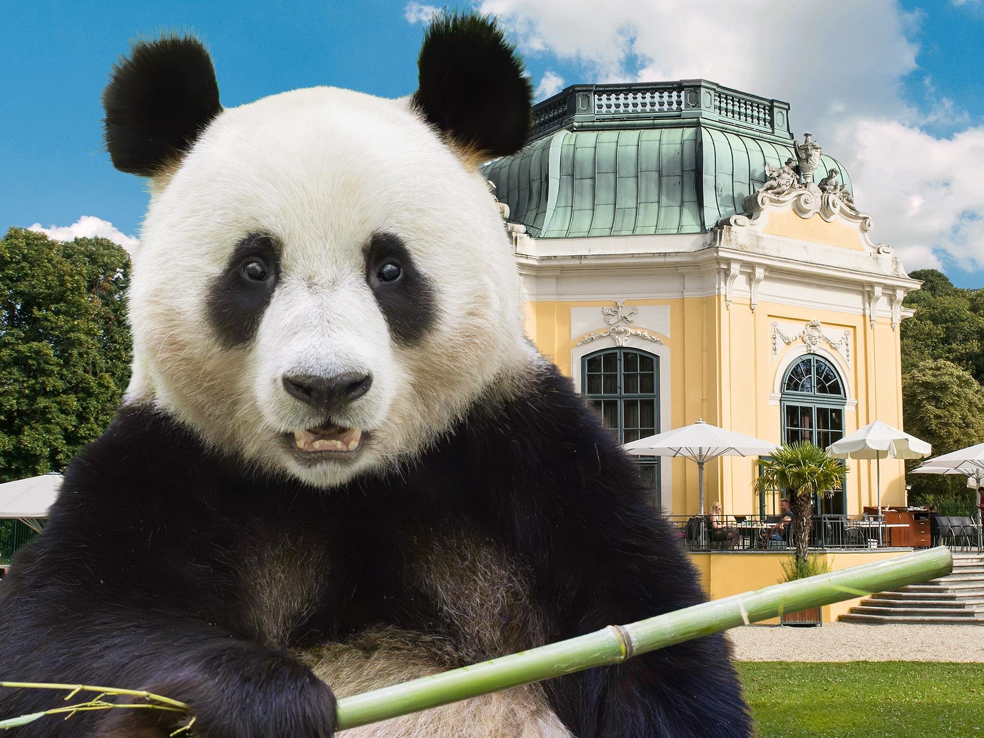 Schönbrunn Zoo Fast-Track Entry
